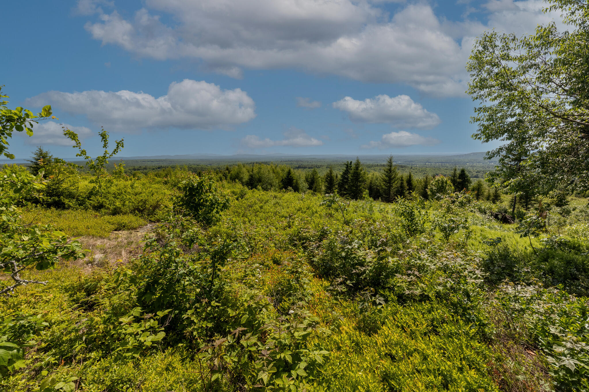 main property photo 48