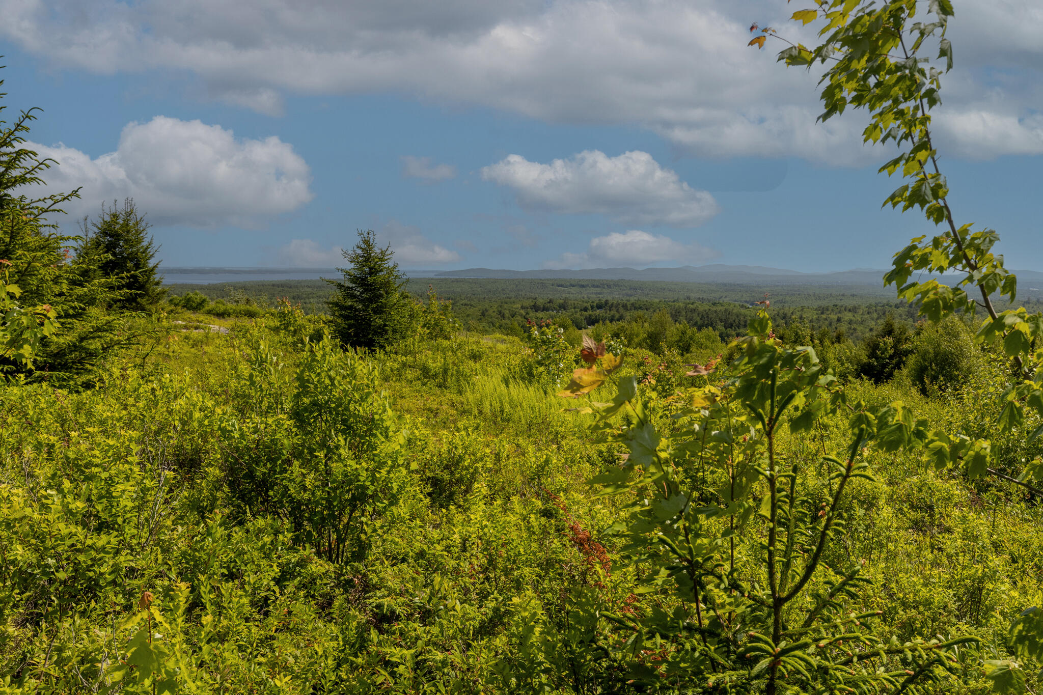 main property photo 49