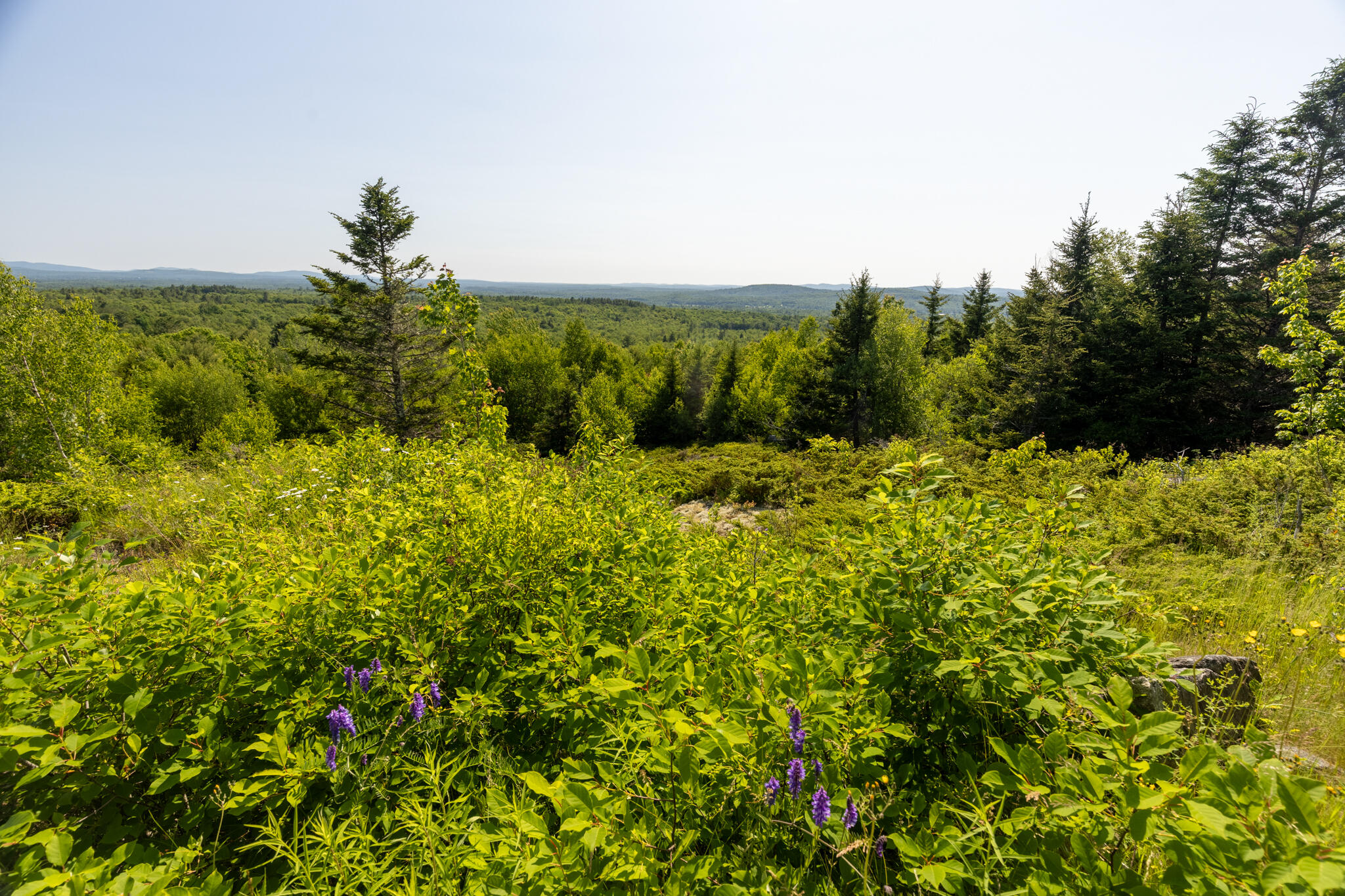 main property photo 54