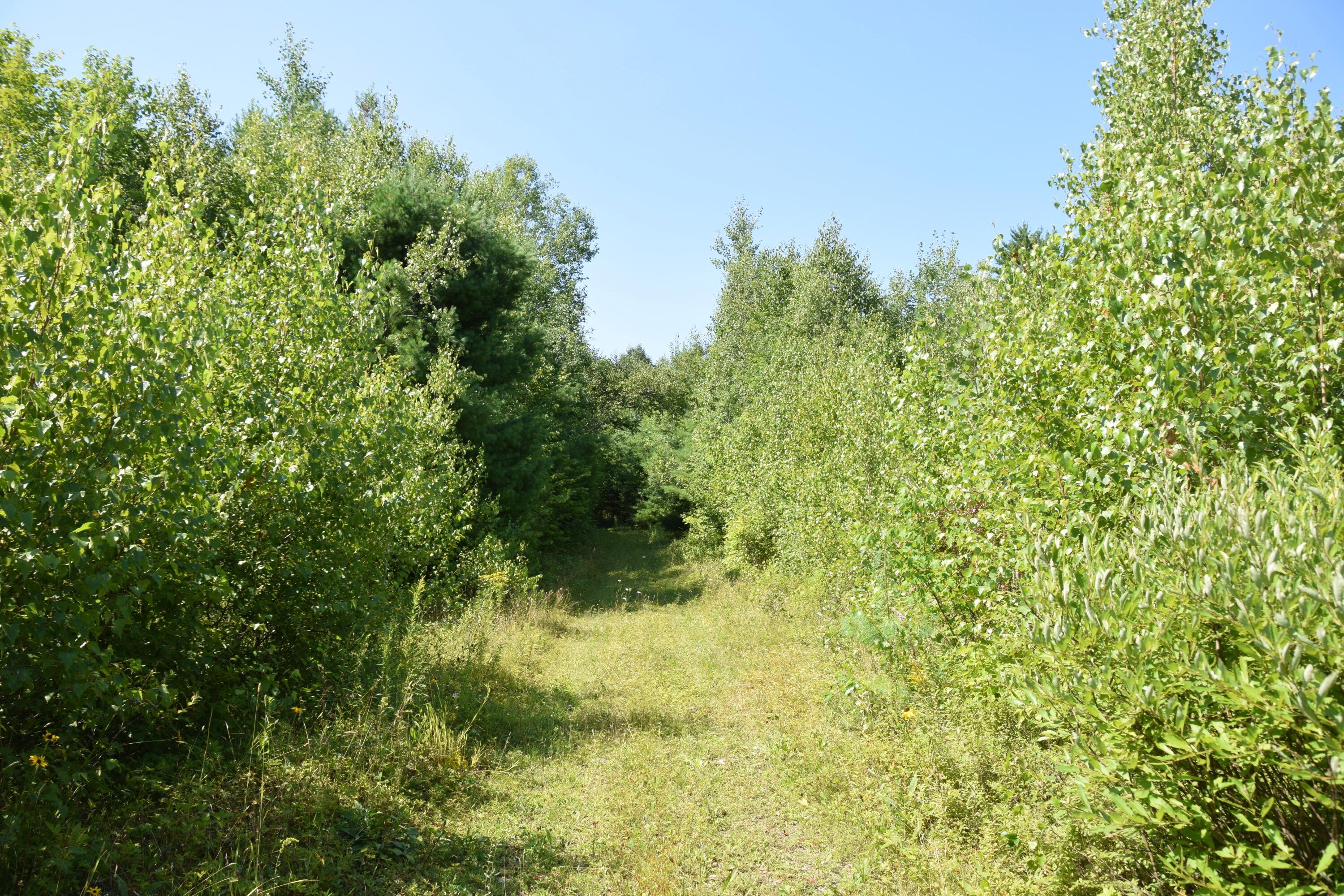 main property photo 21
