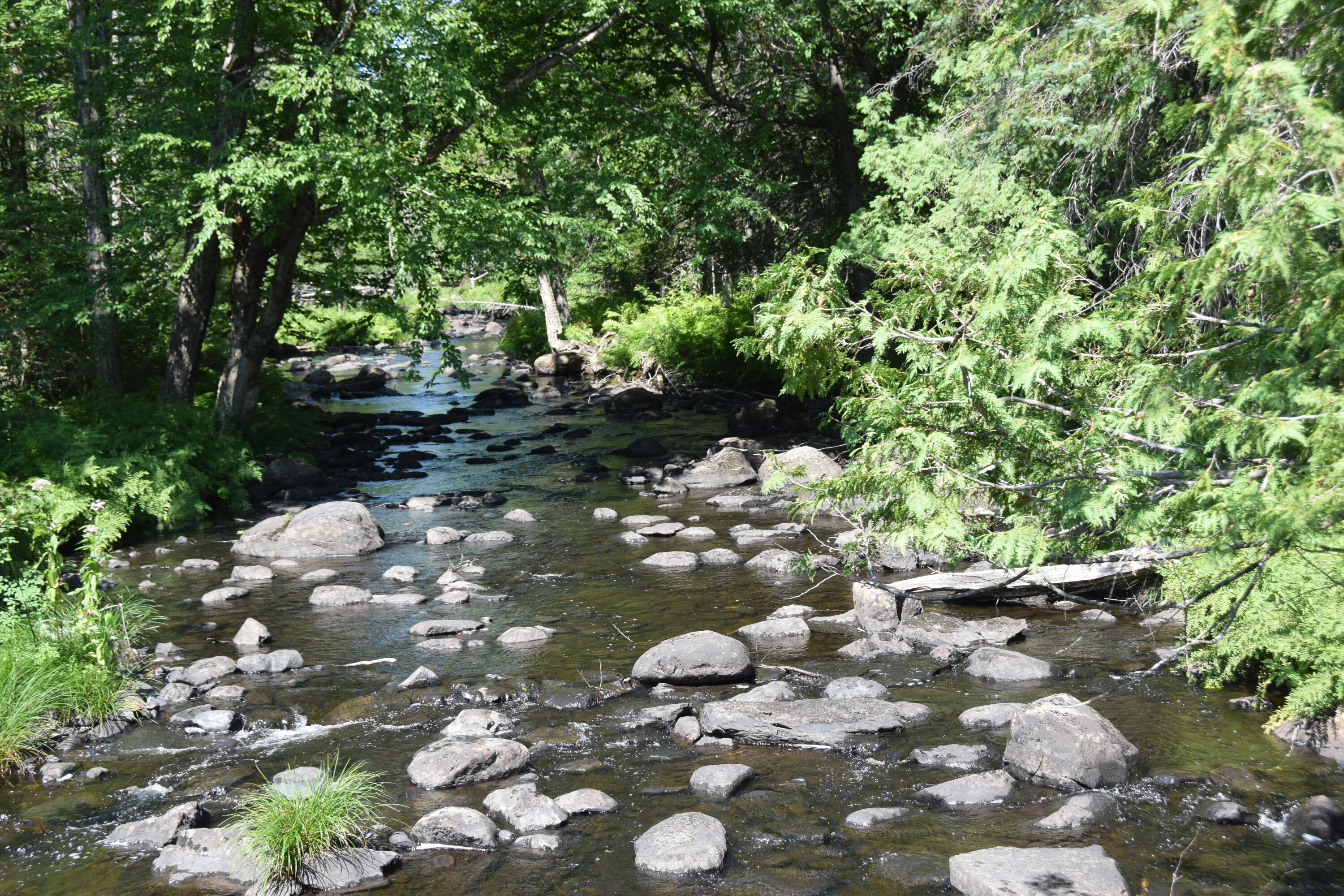 main property photo 10