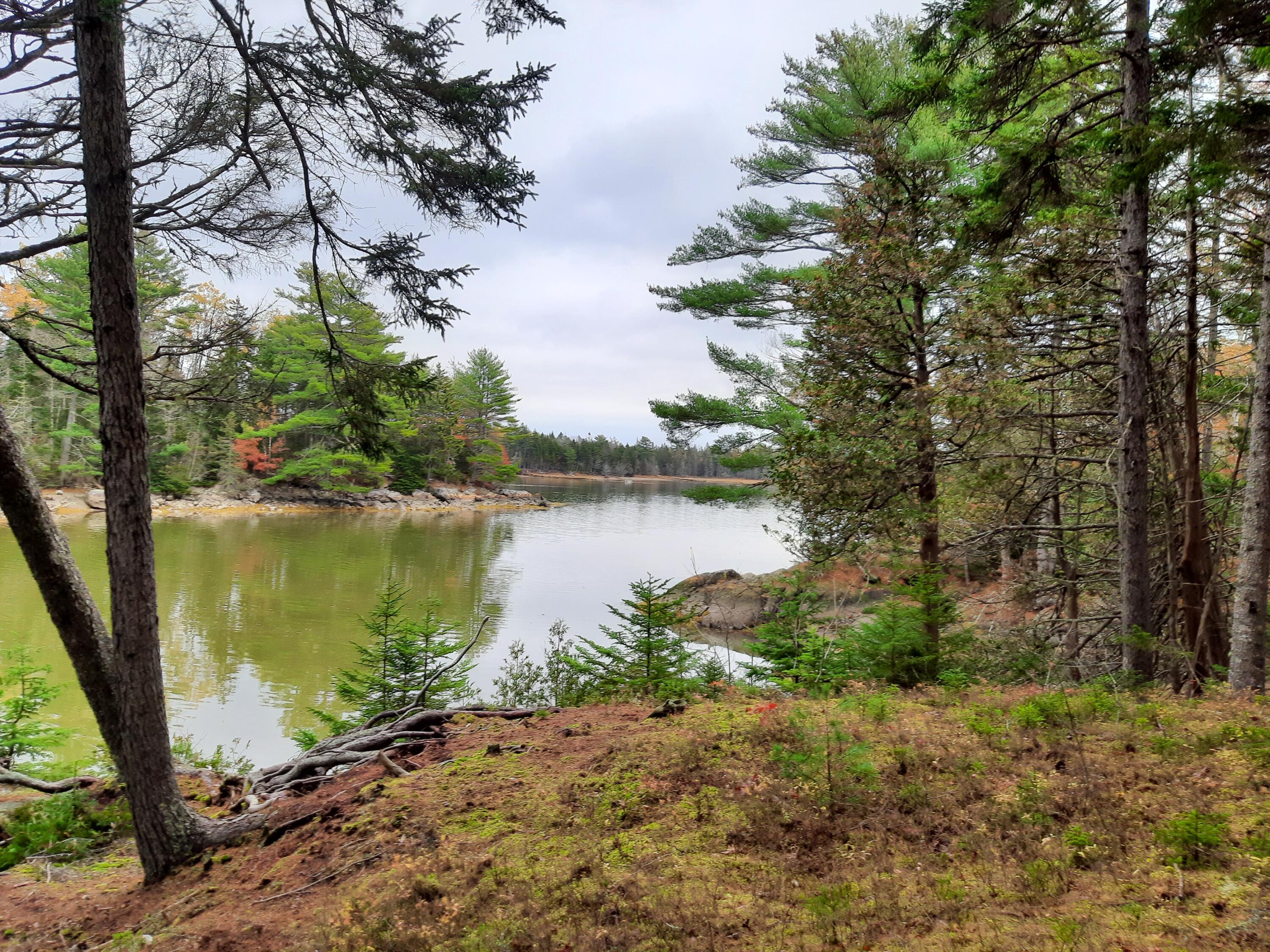 main property photo 20