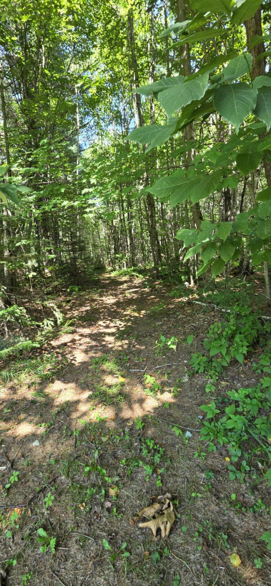 main property photo 59