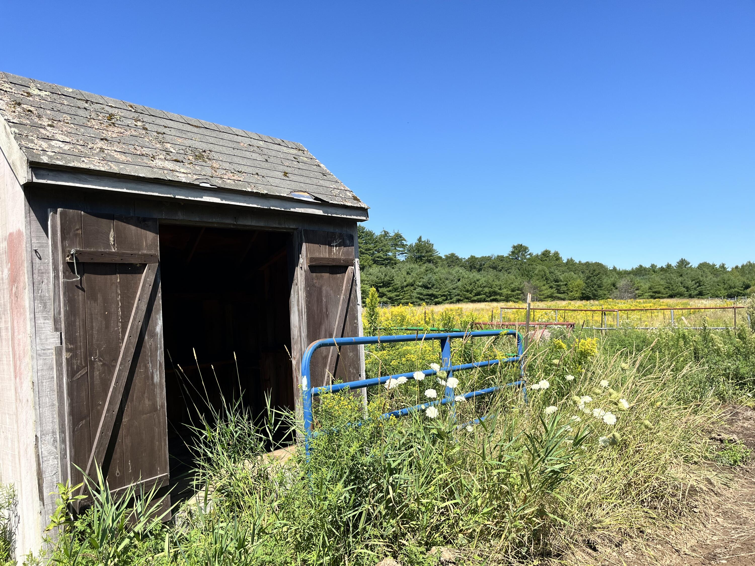 main property photo 29