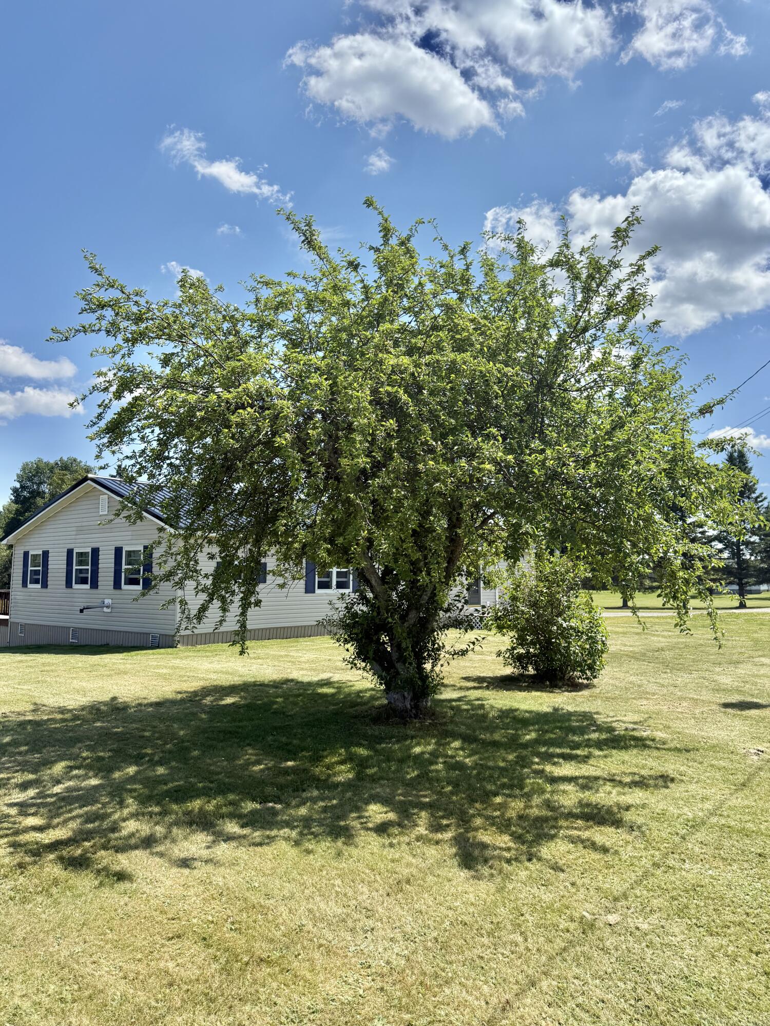 property viewer photo 21