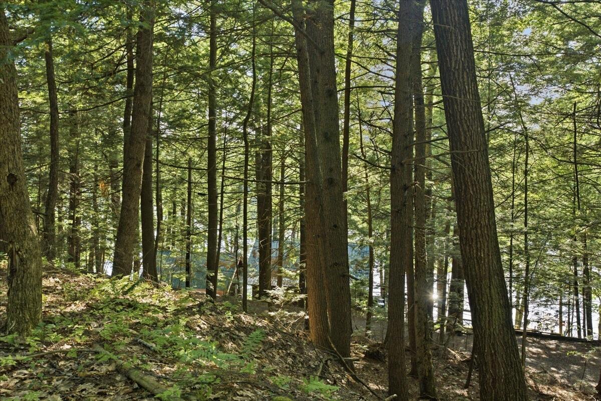 main property photo 92