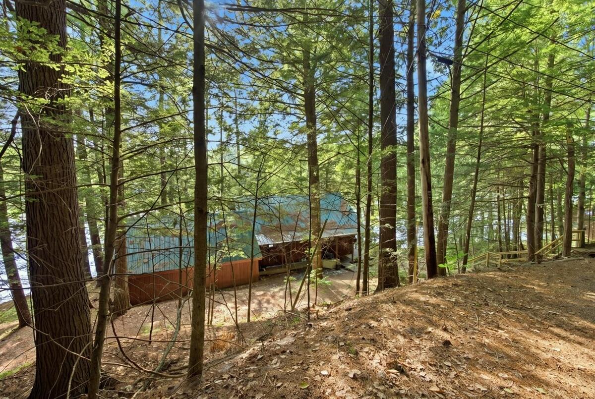main property photo 99