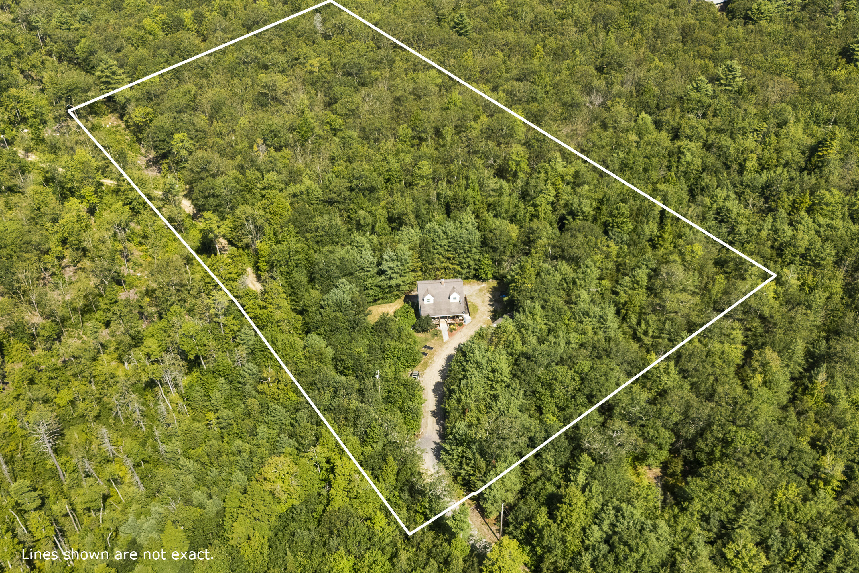 main property photo 41