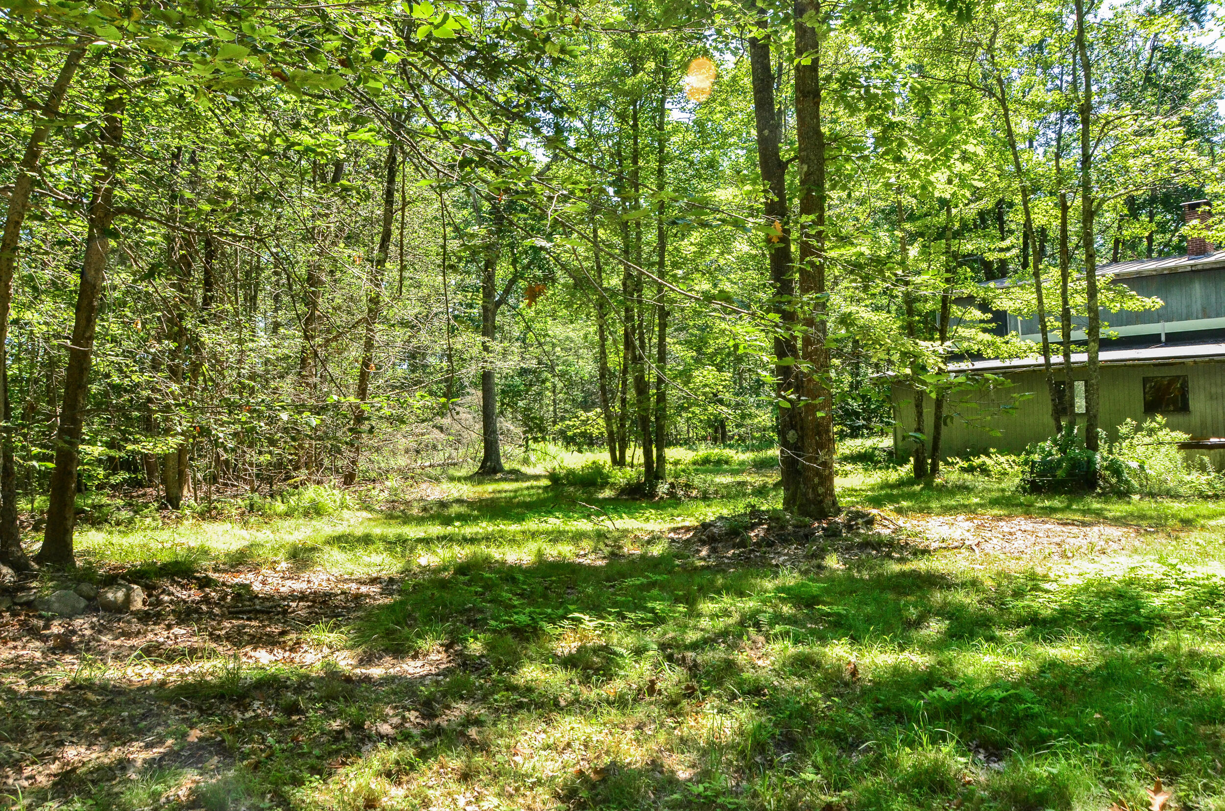 main property photo 67