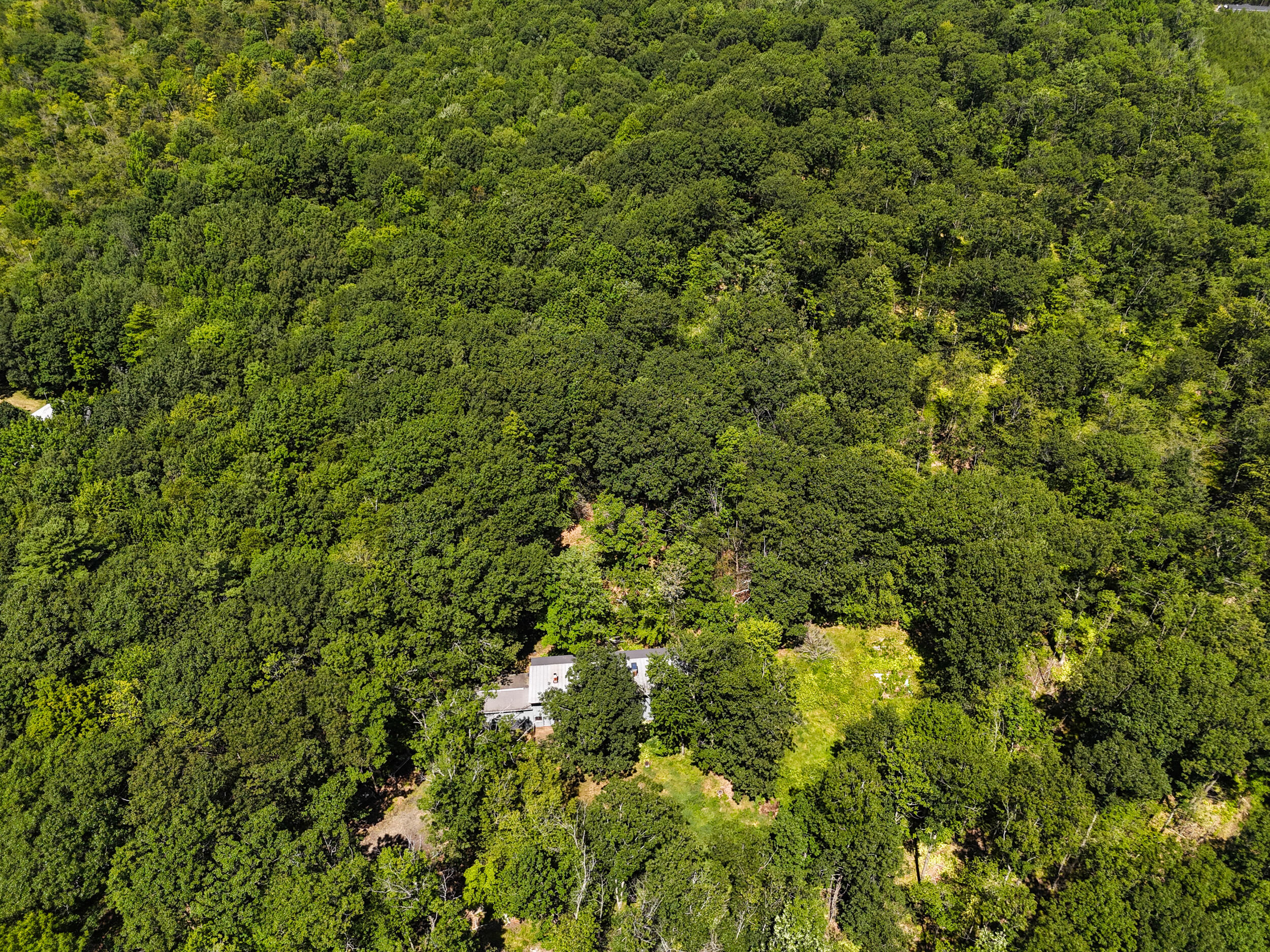 main property photo 77