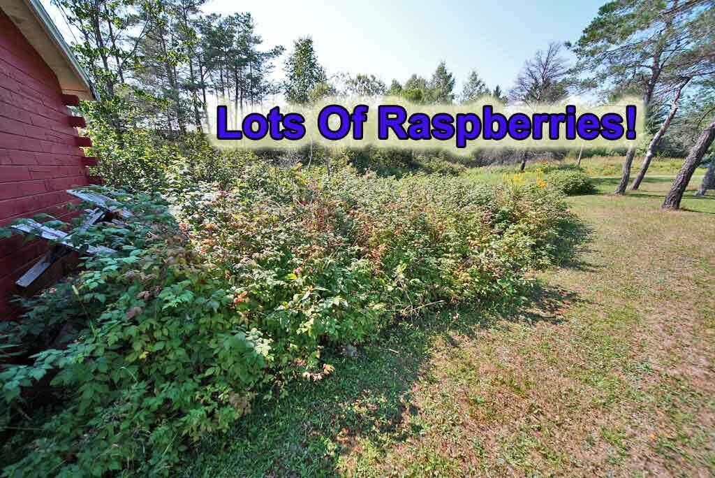 main property photo 56