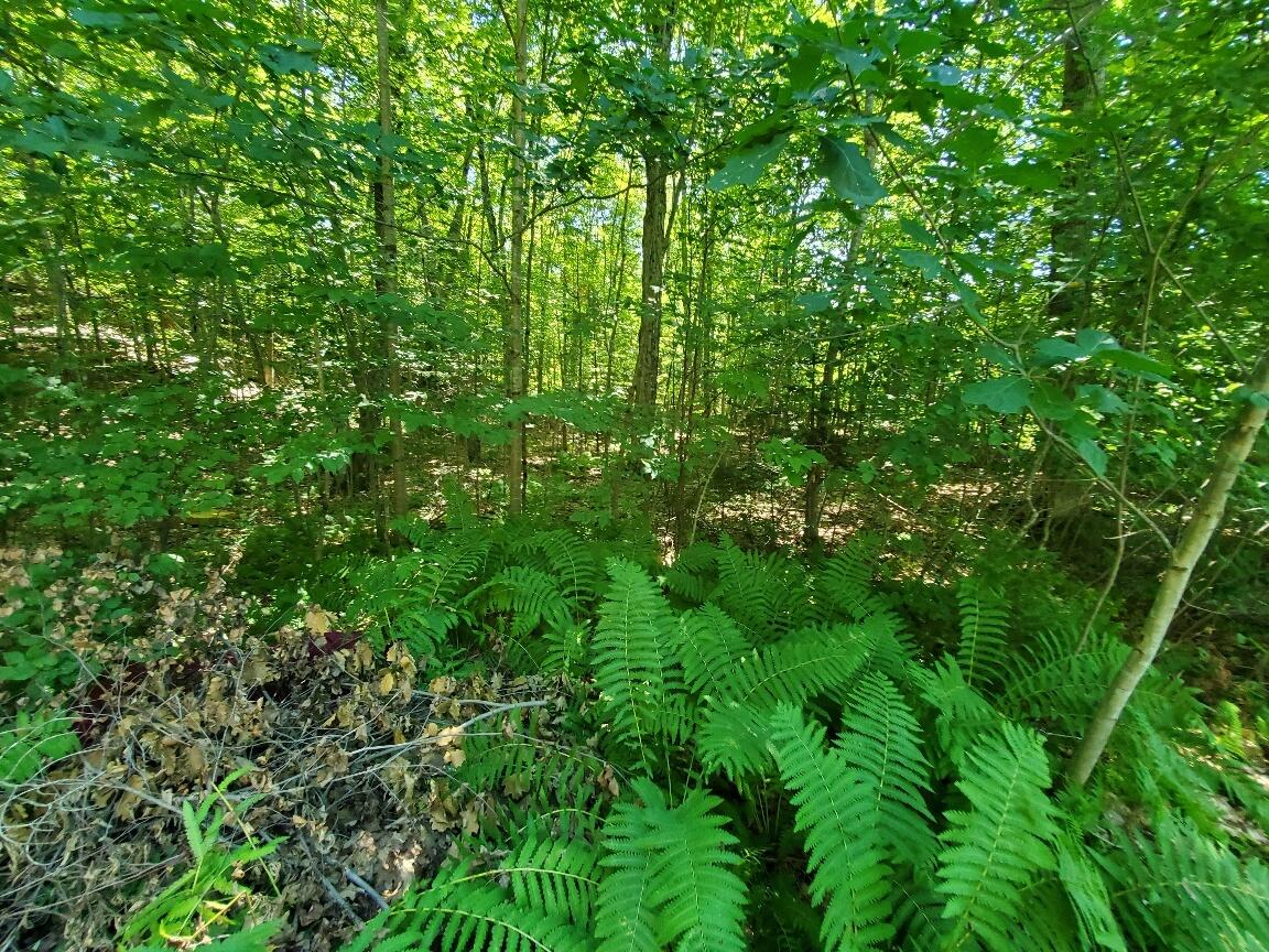 main property photo 75