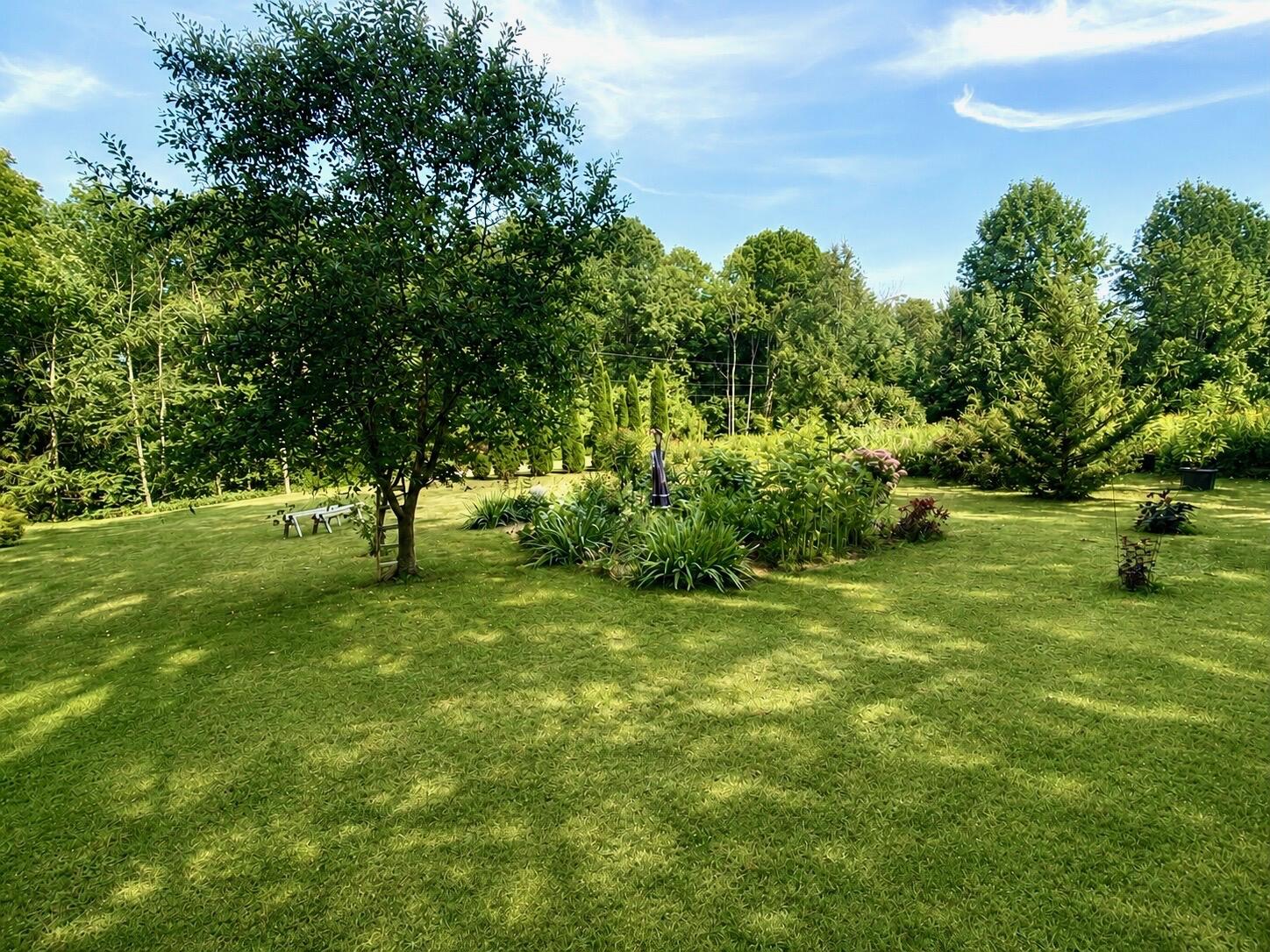 main property photo 61