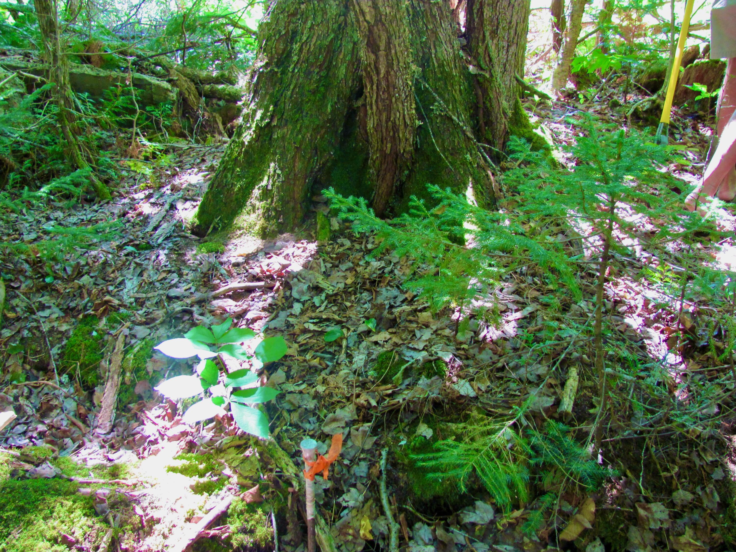 main property photo 27