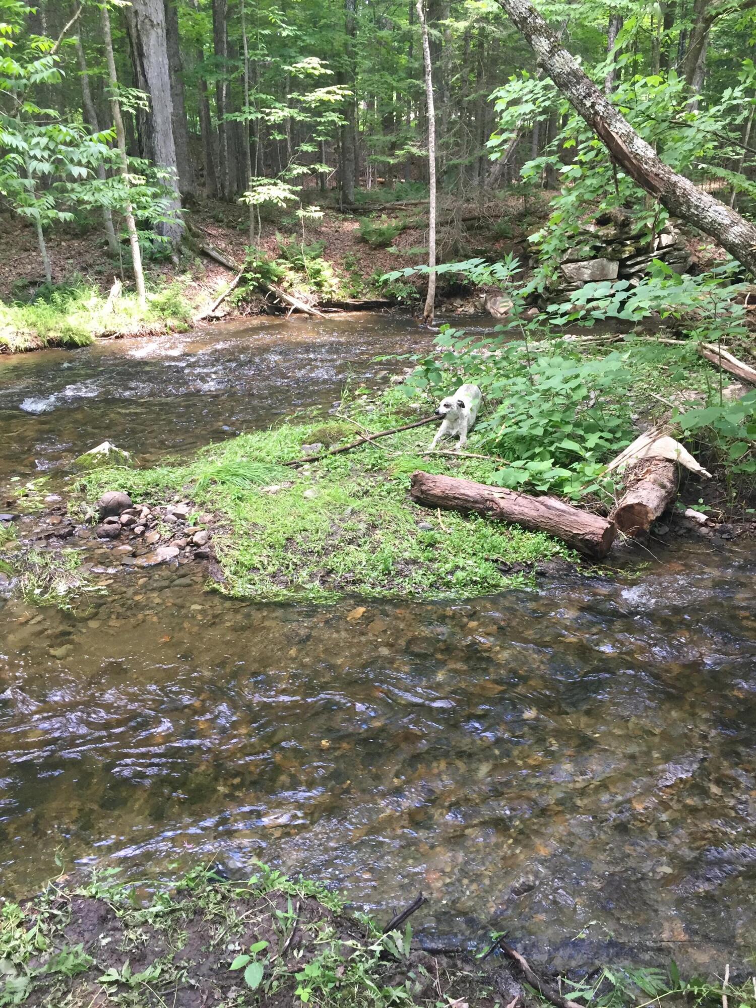 property viewer photo 11