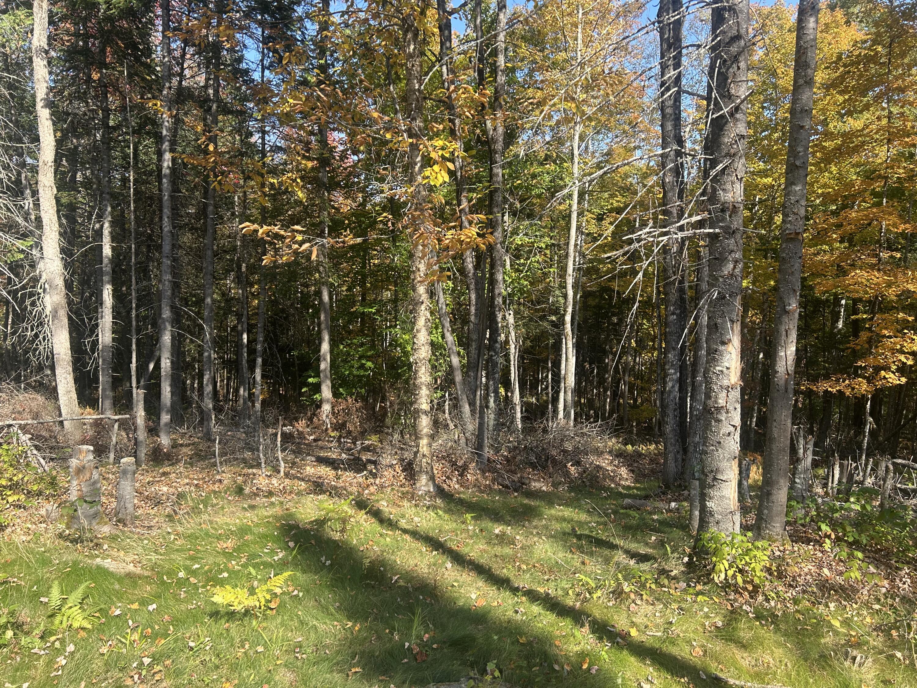 property viewer photo 2