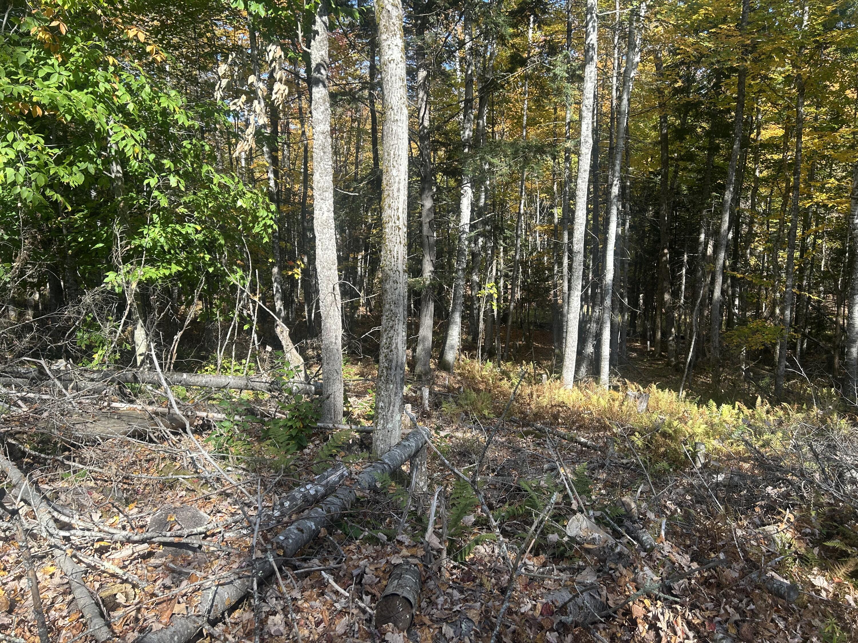 property viewer photo 3