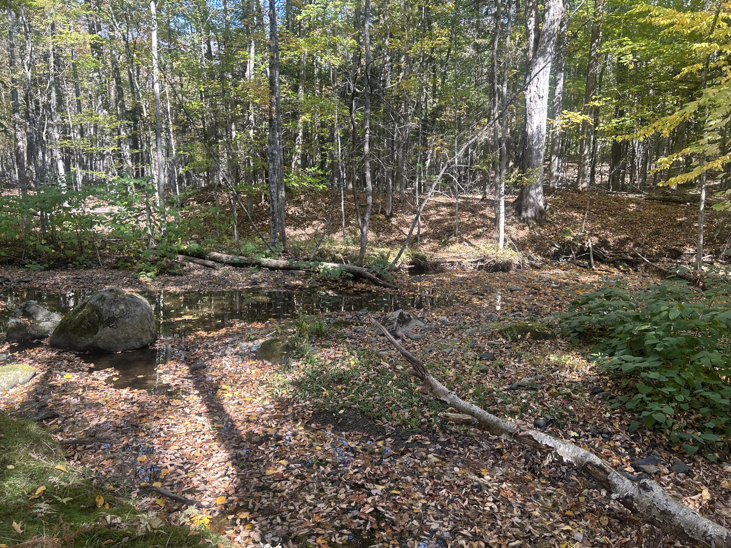 property viewer photo 4