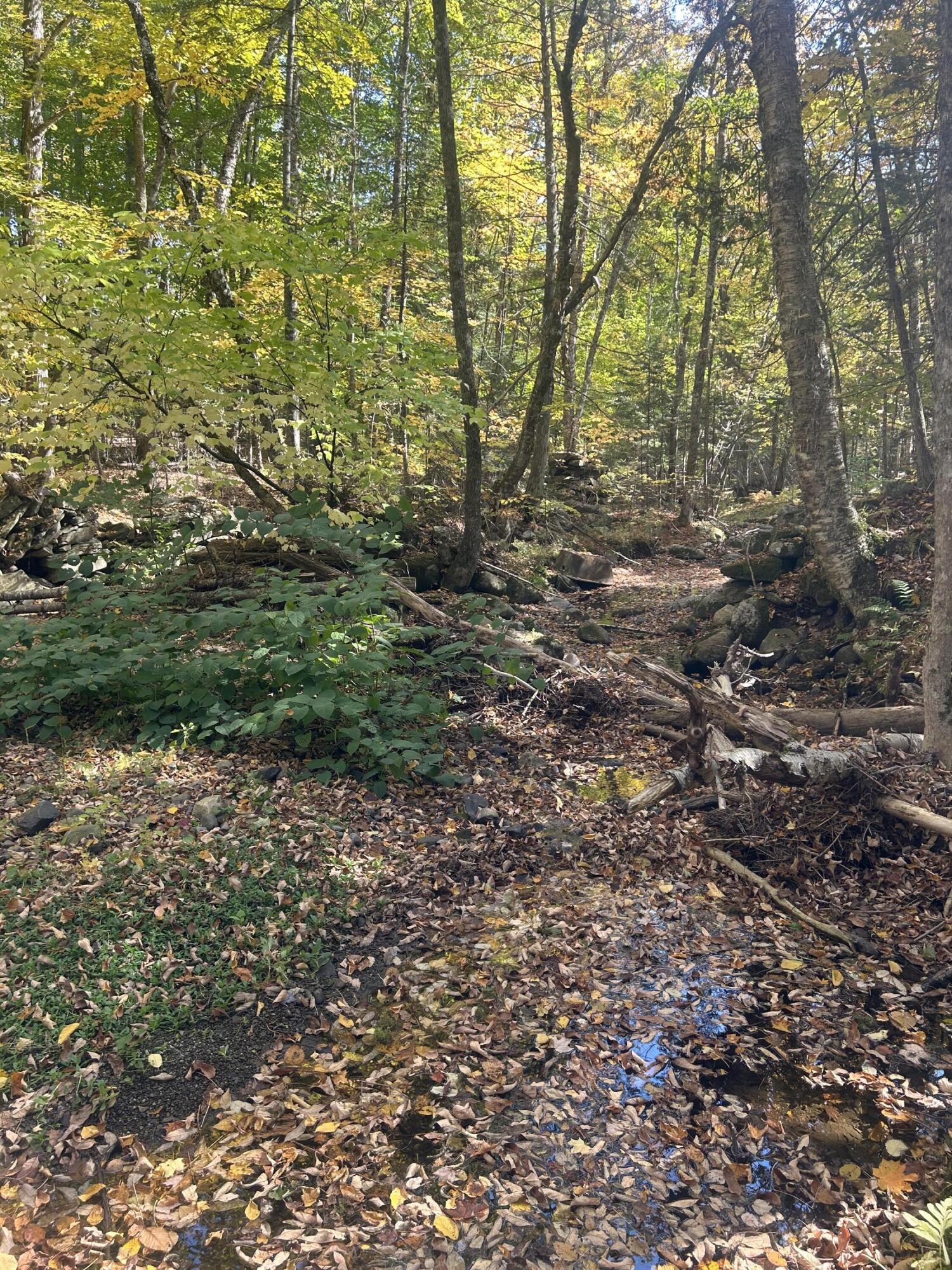 property viewer photo 5