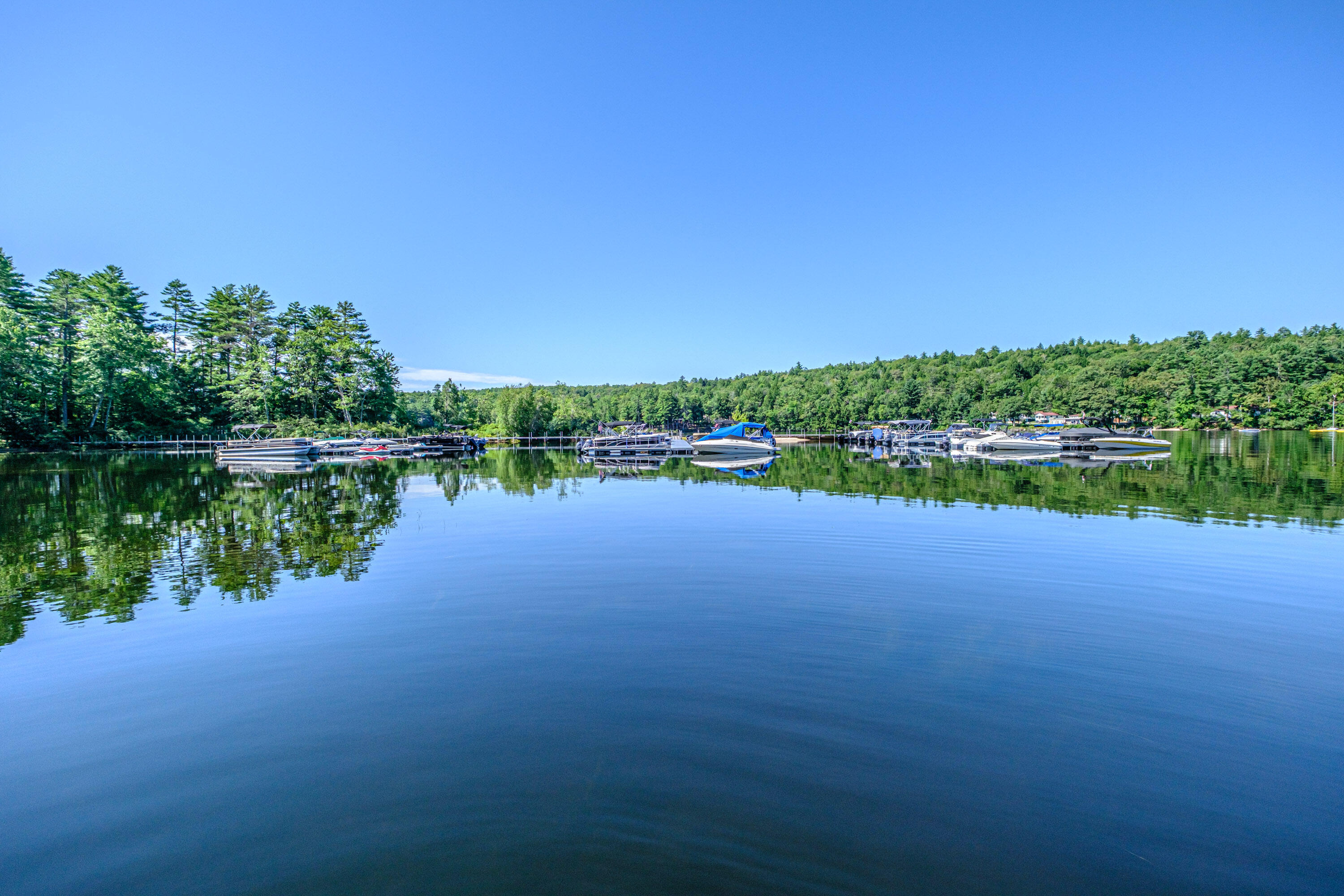 main property photo 99