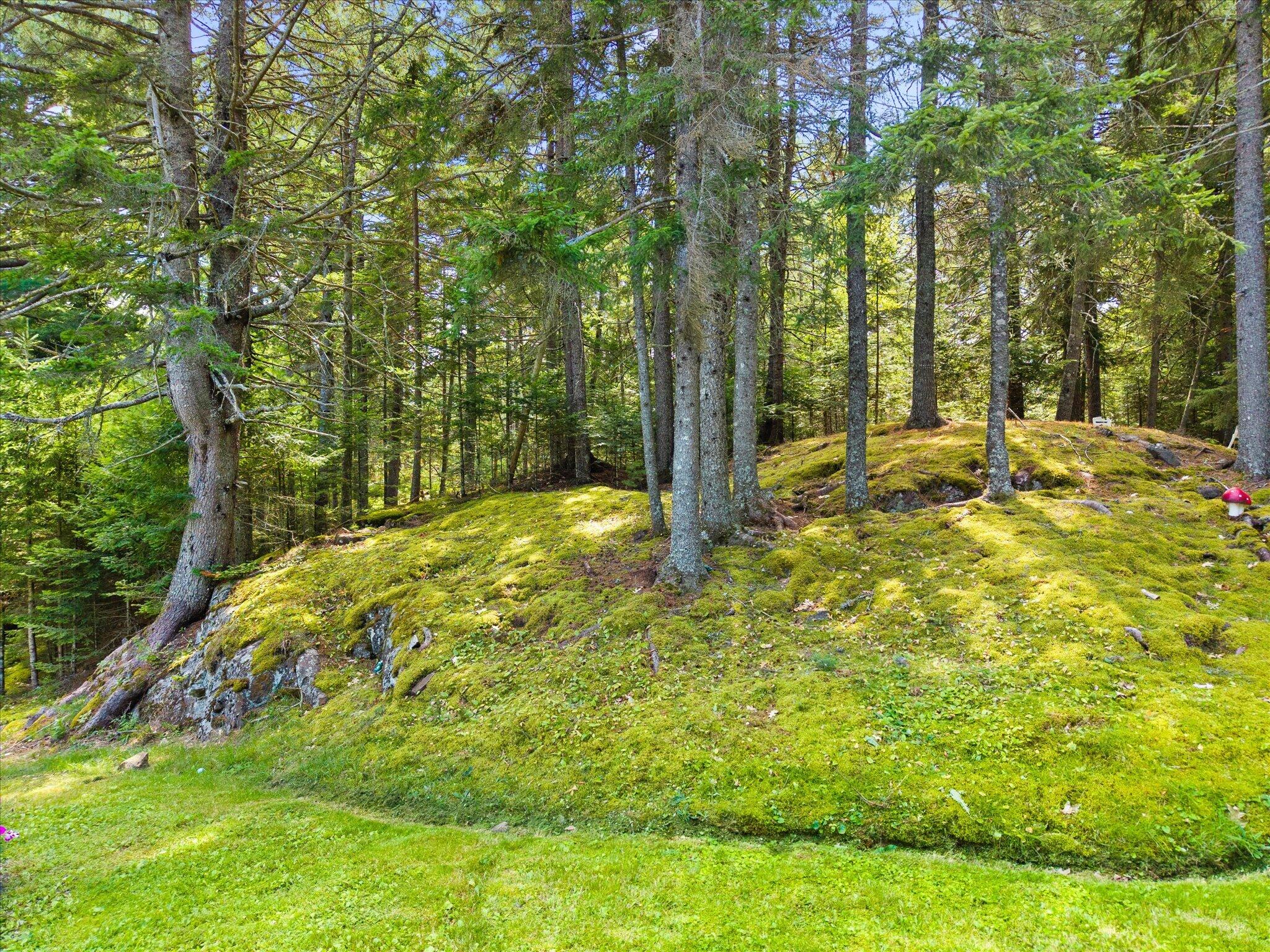 main property photo 56