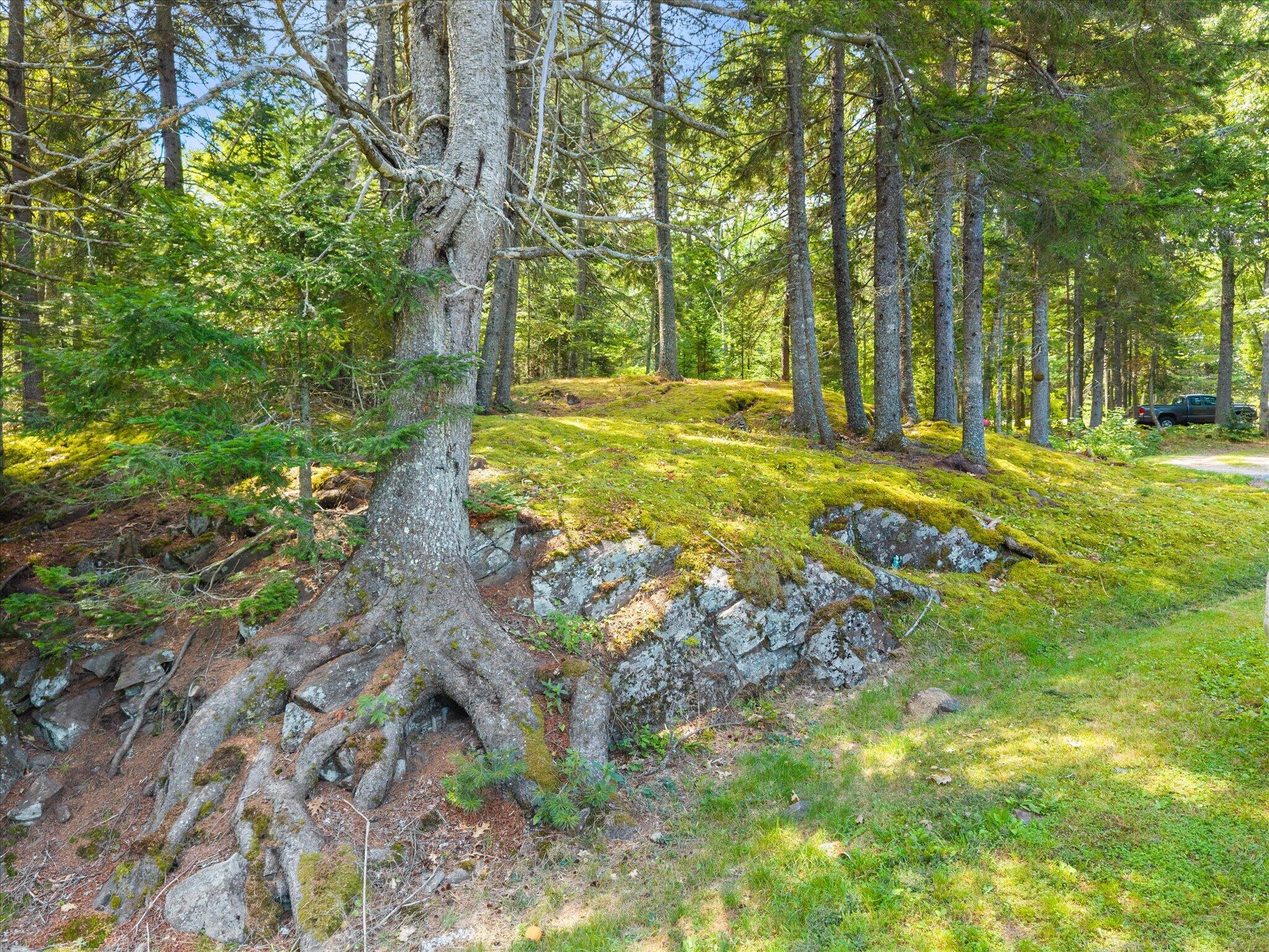 main property photo 58