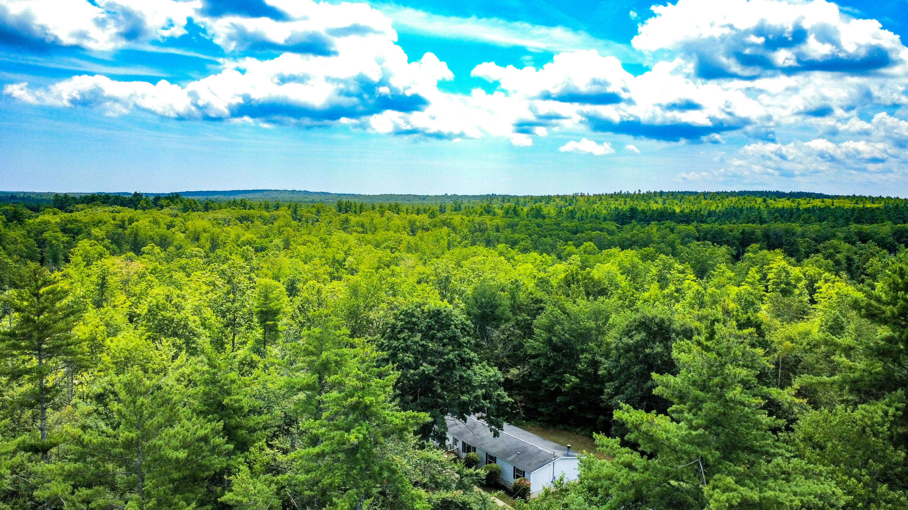 main property photo 69