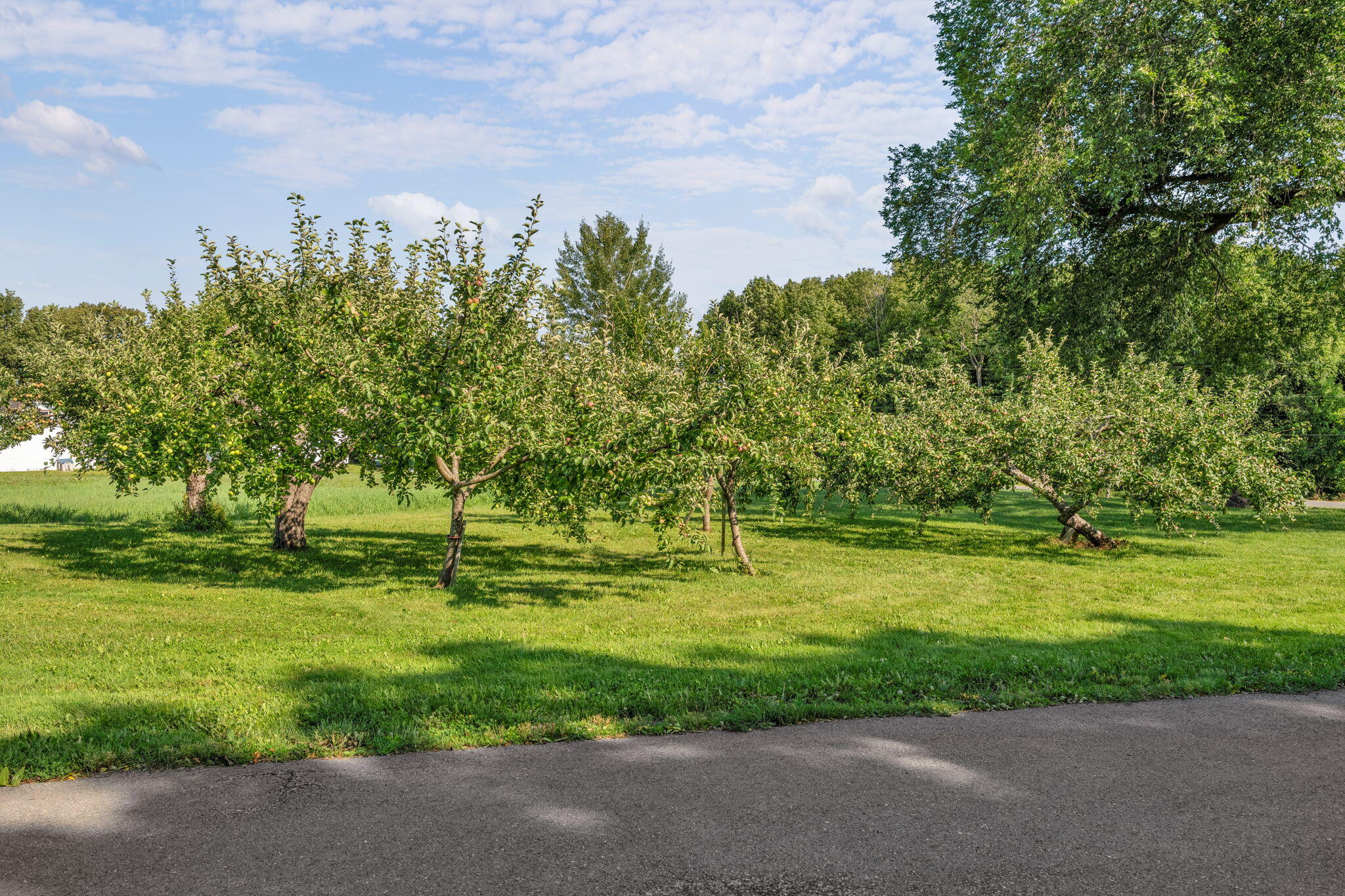 main property photo 65