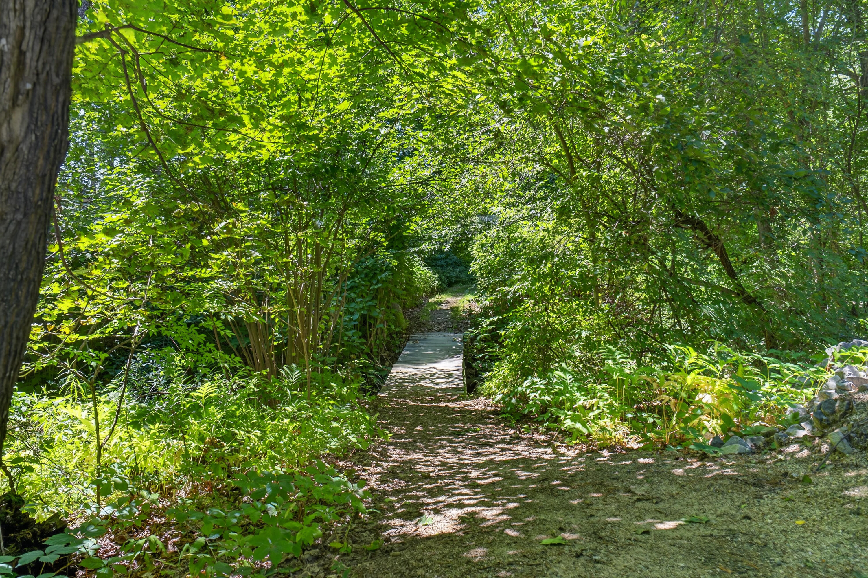 main property photo 69