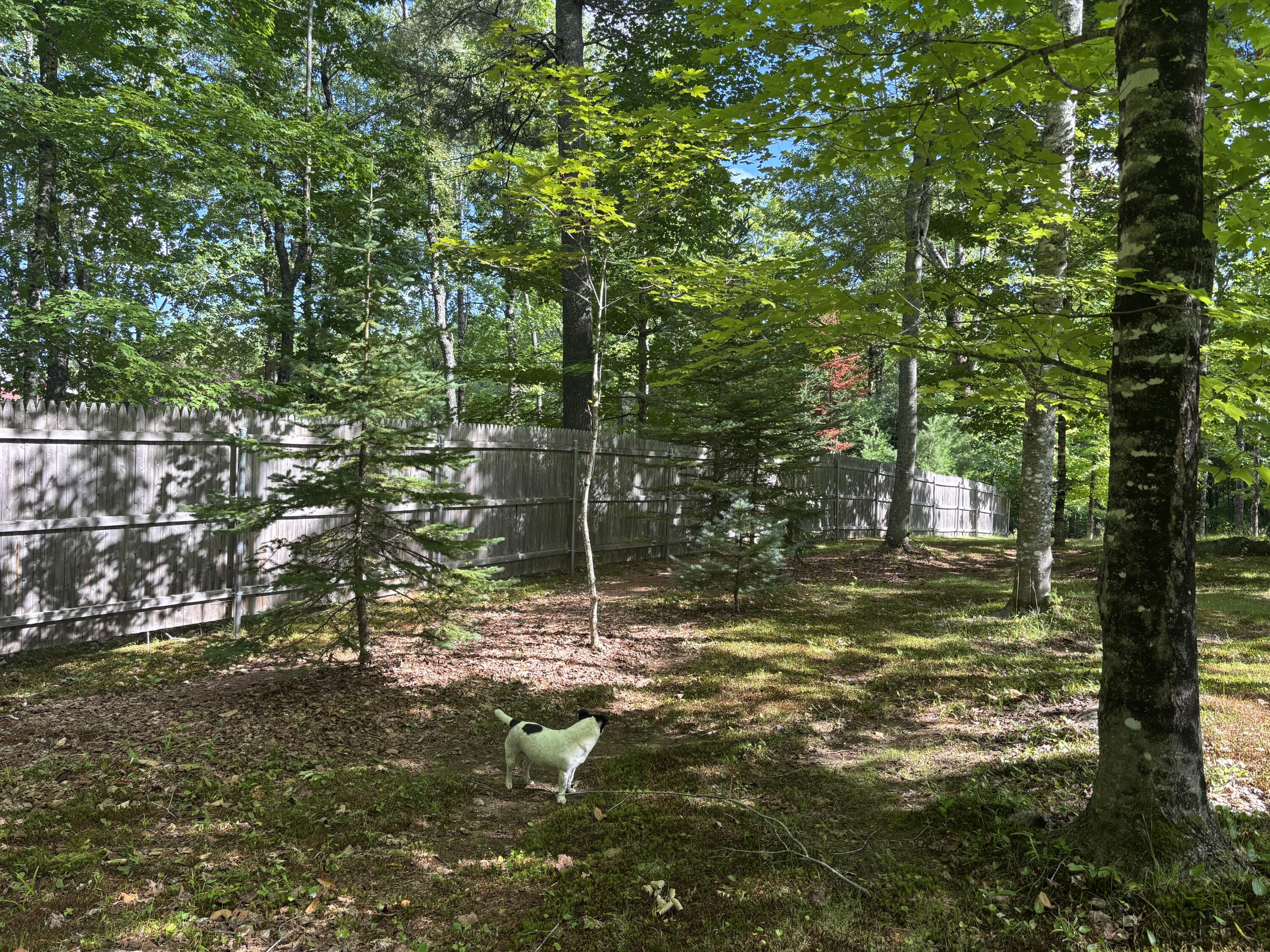 main property photo 95