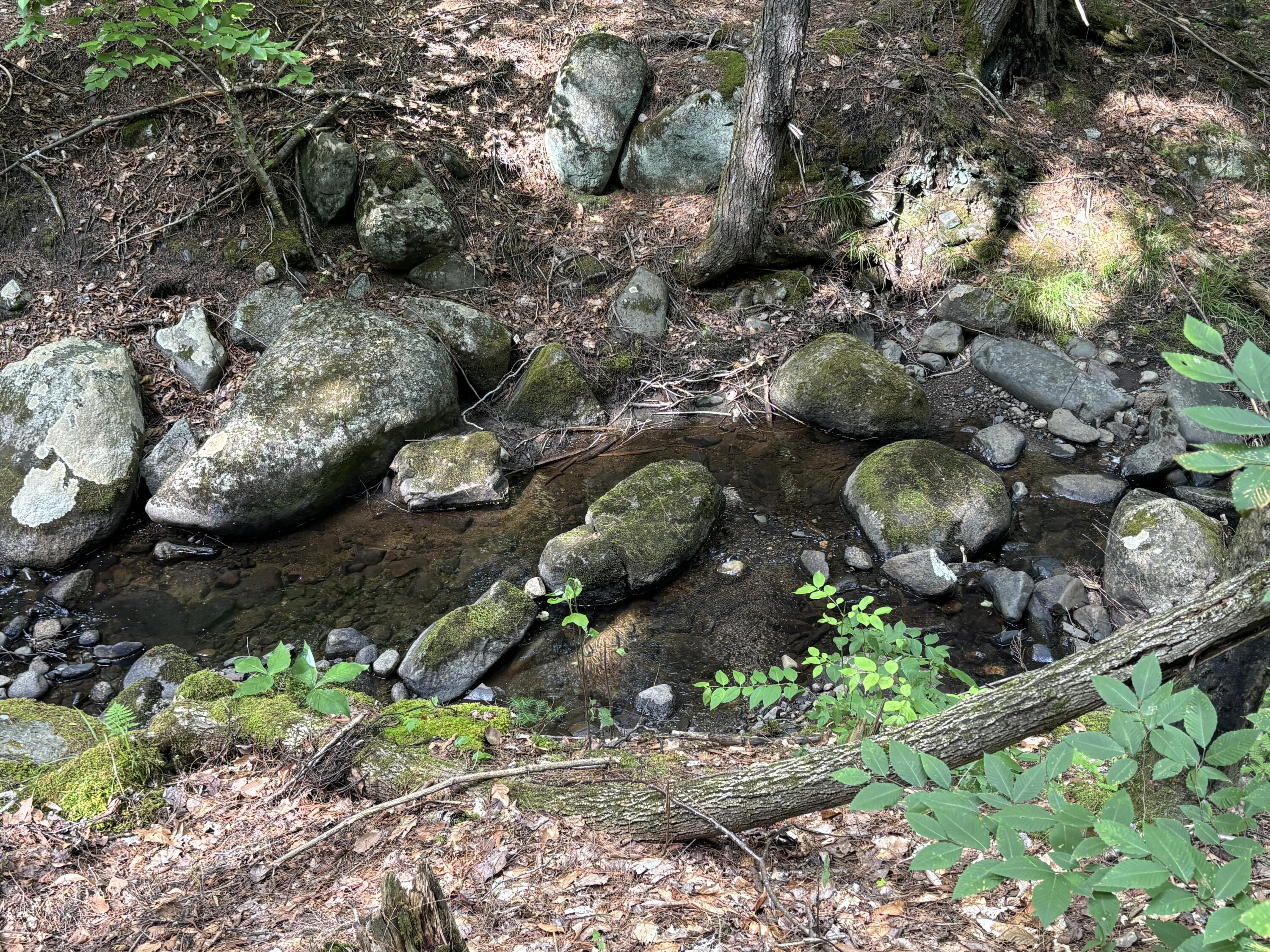 main property photo 98