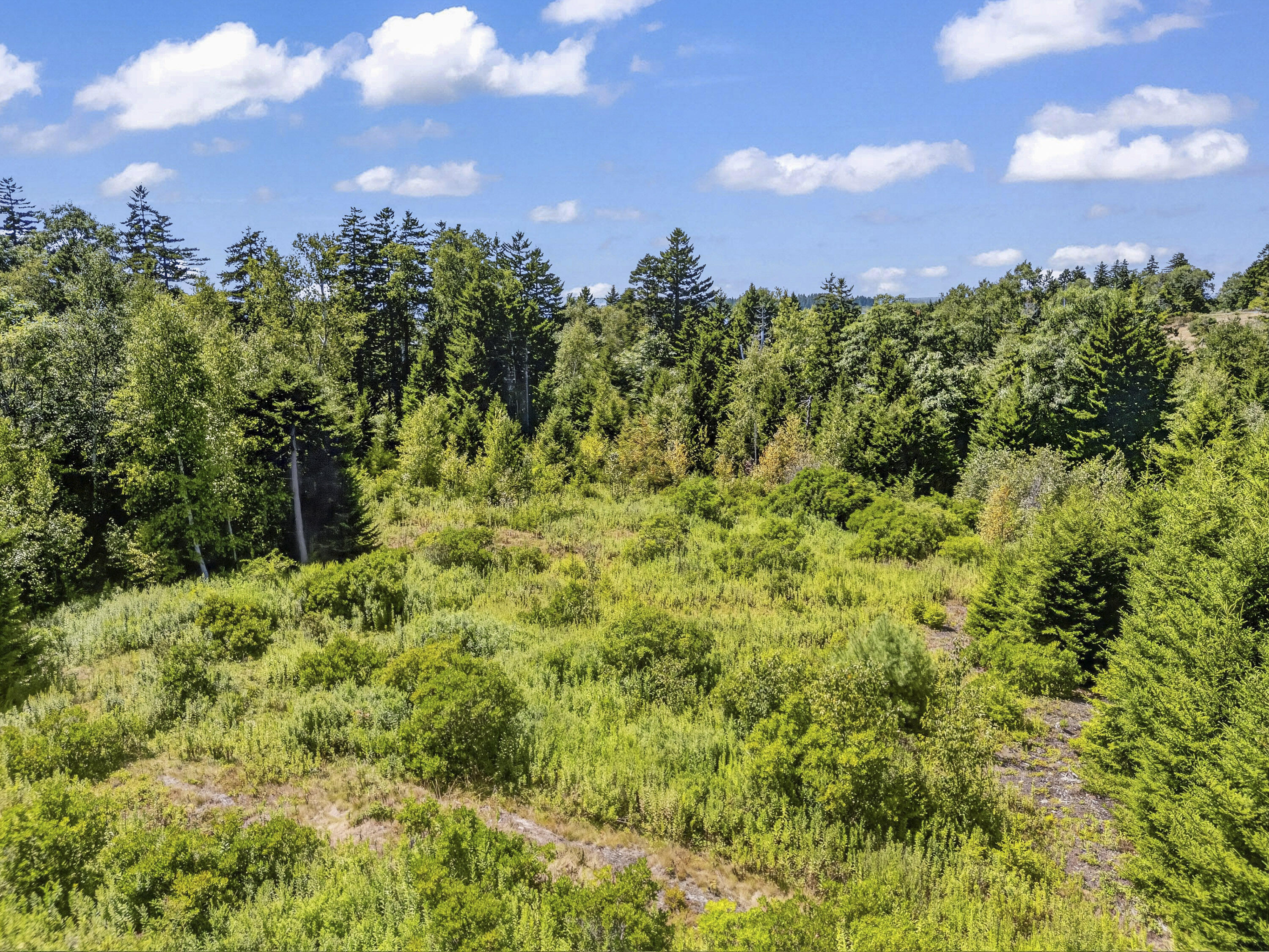 main property photo 61