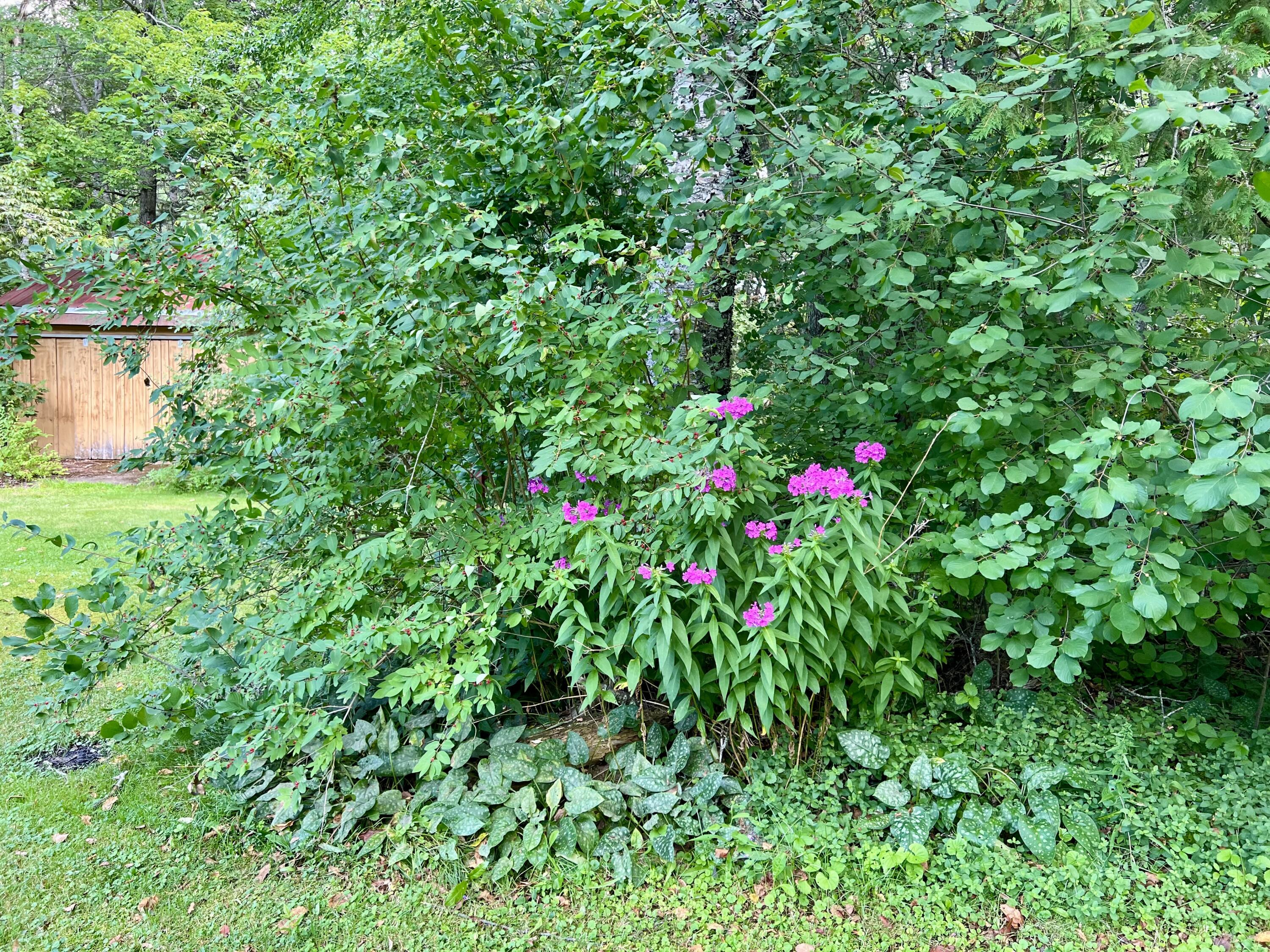 main property photo 18