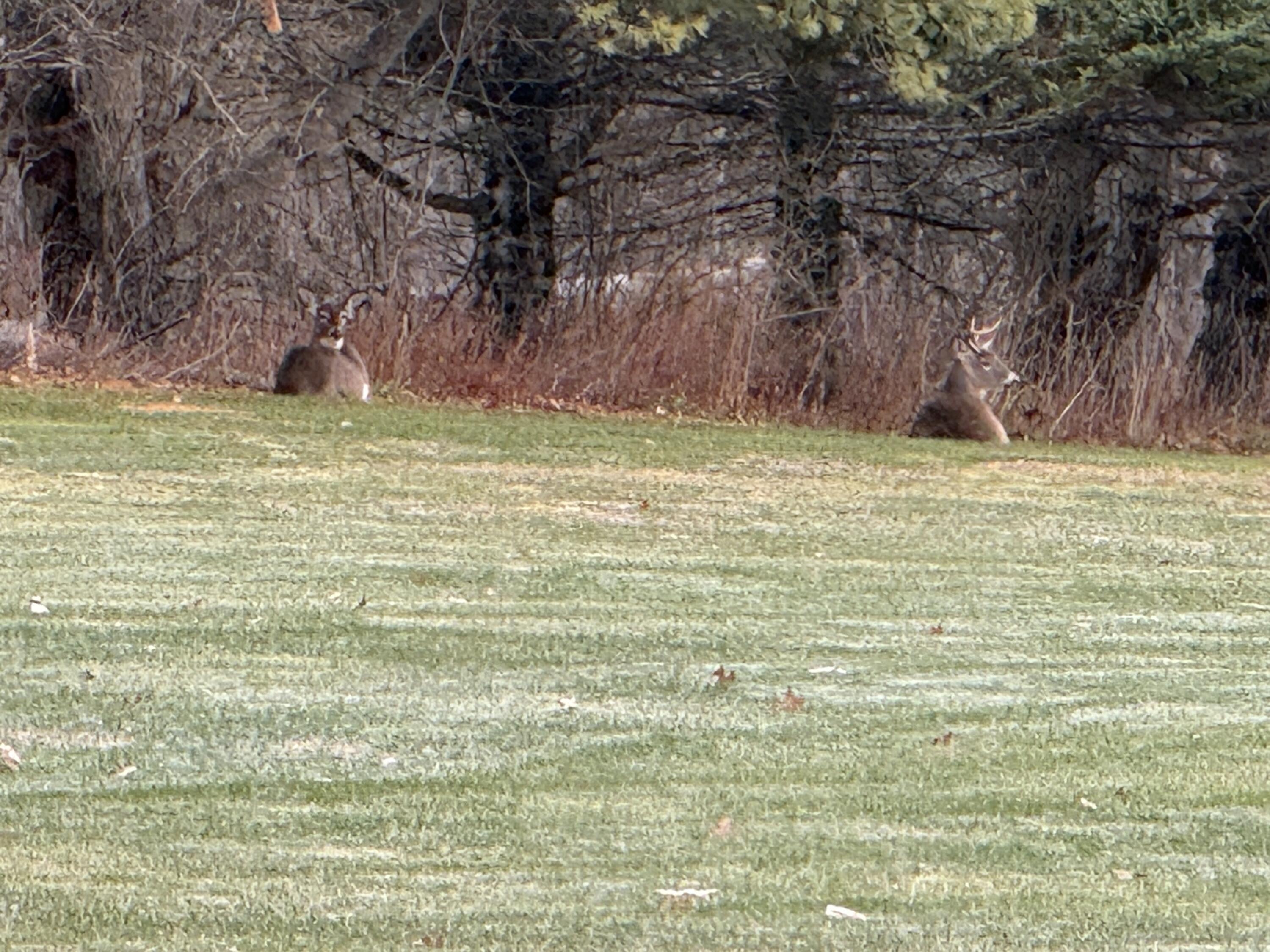 main property photo 72