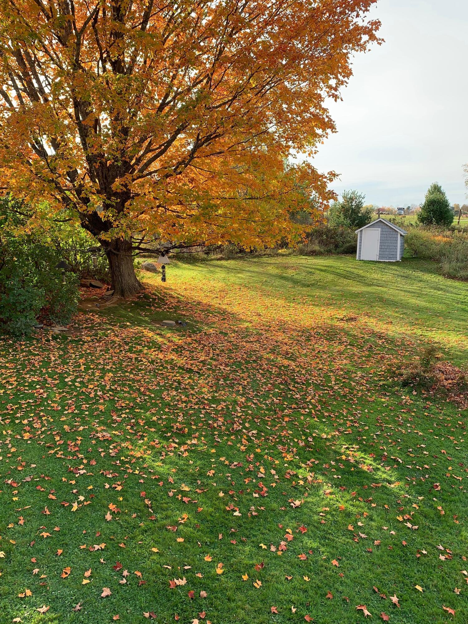 main property photo 54