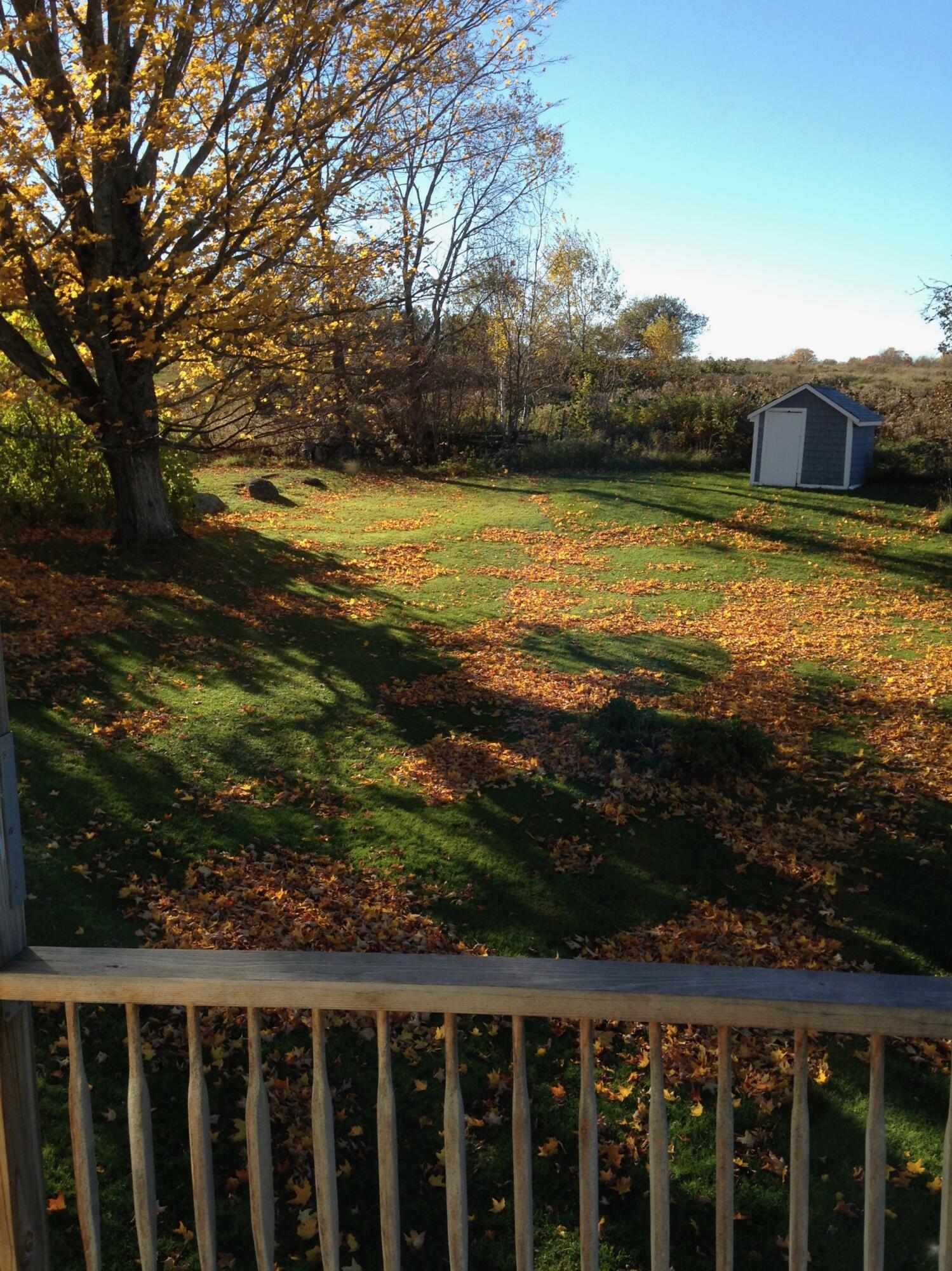 main property photo 55