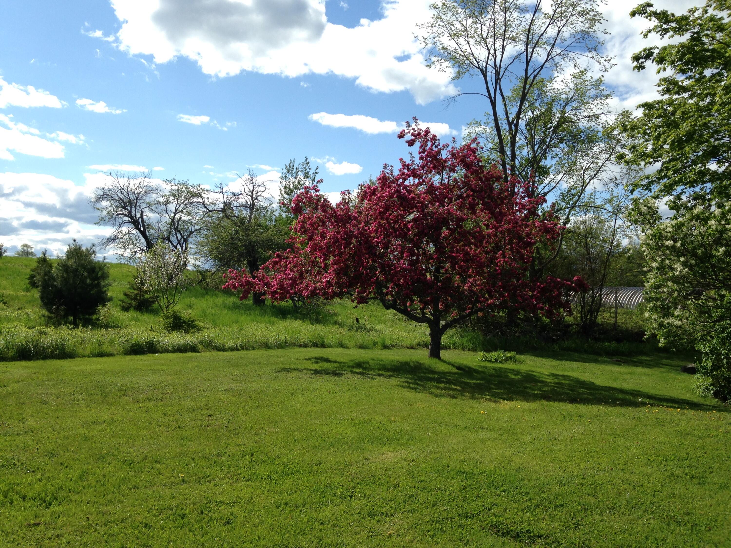 main property photo 60