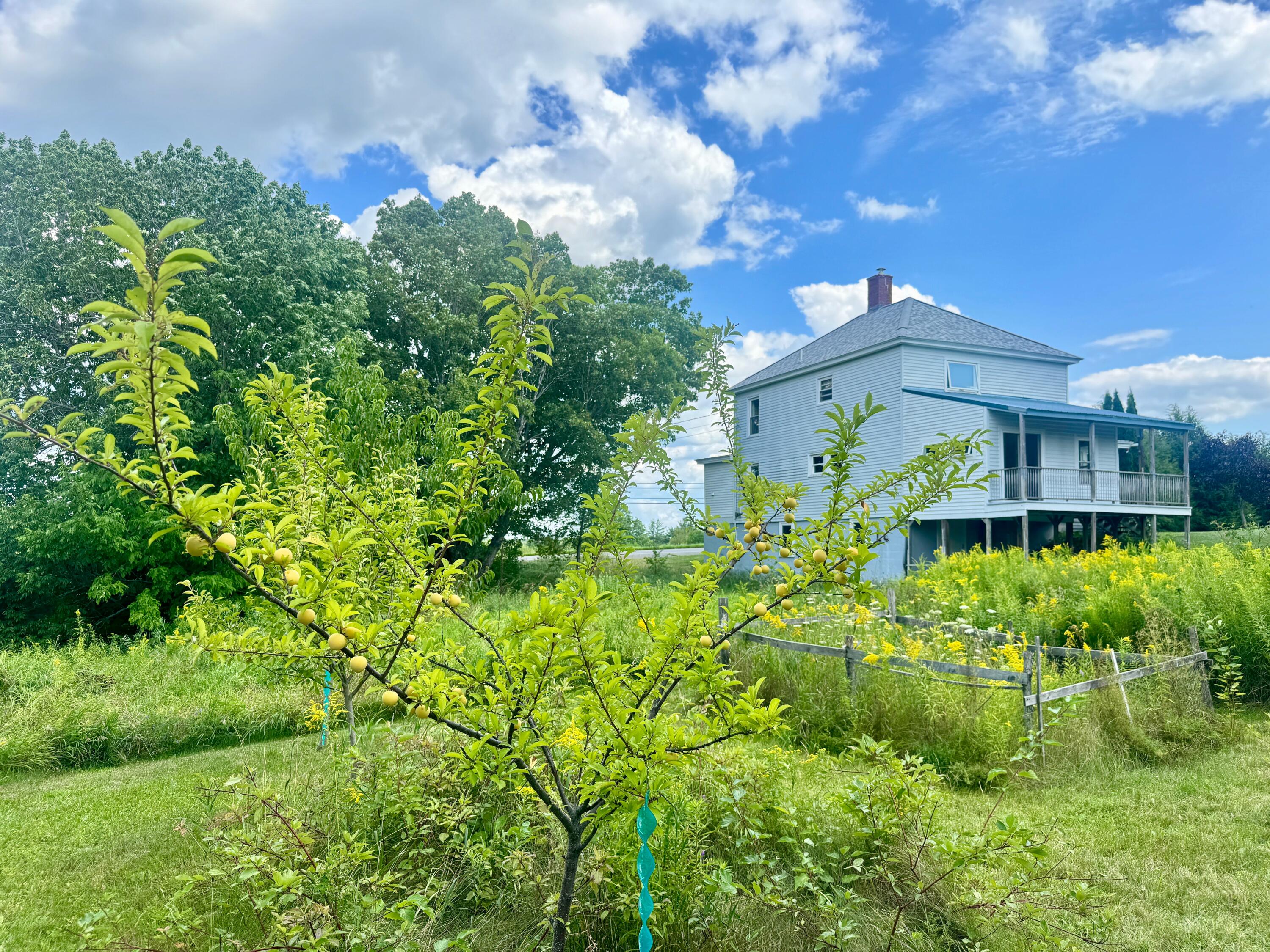 main property photo 64