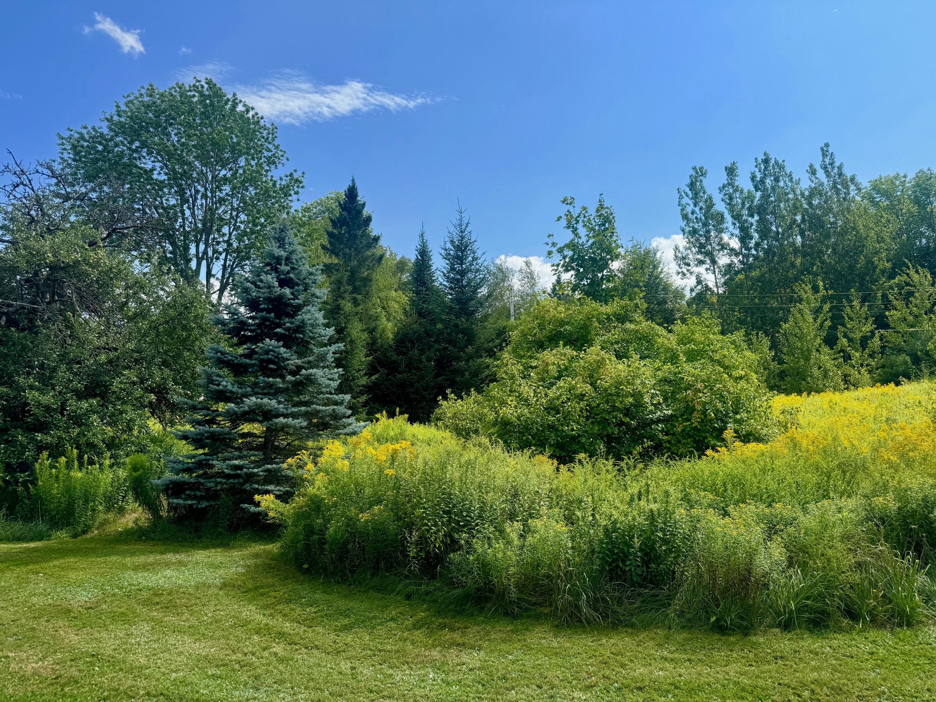 main property photo 66
