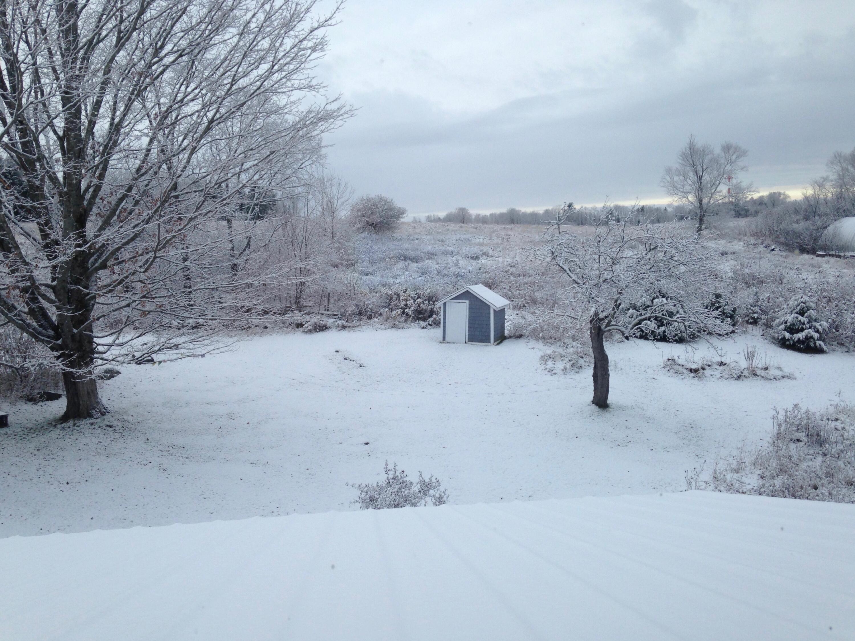 main property photo 71