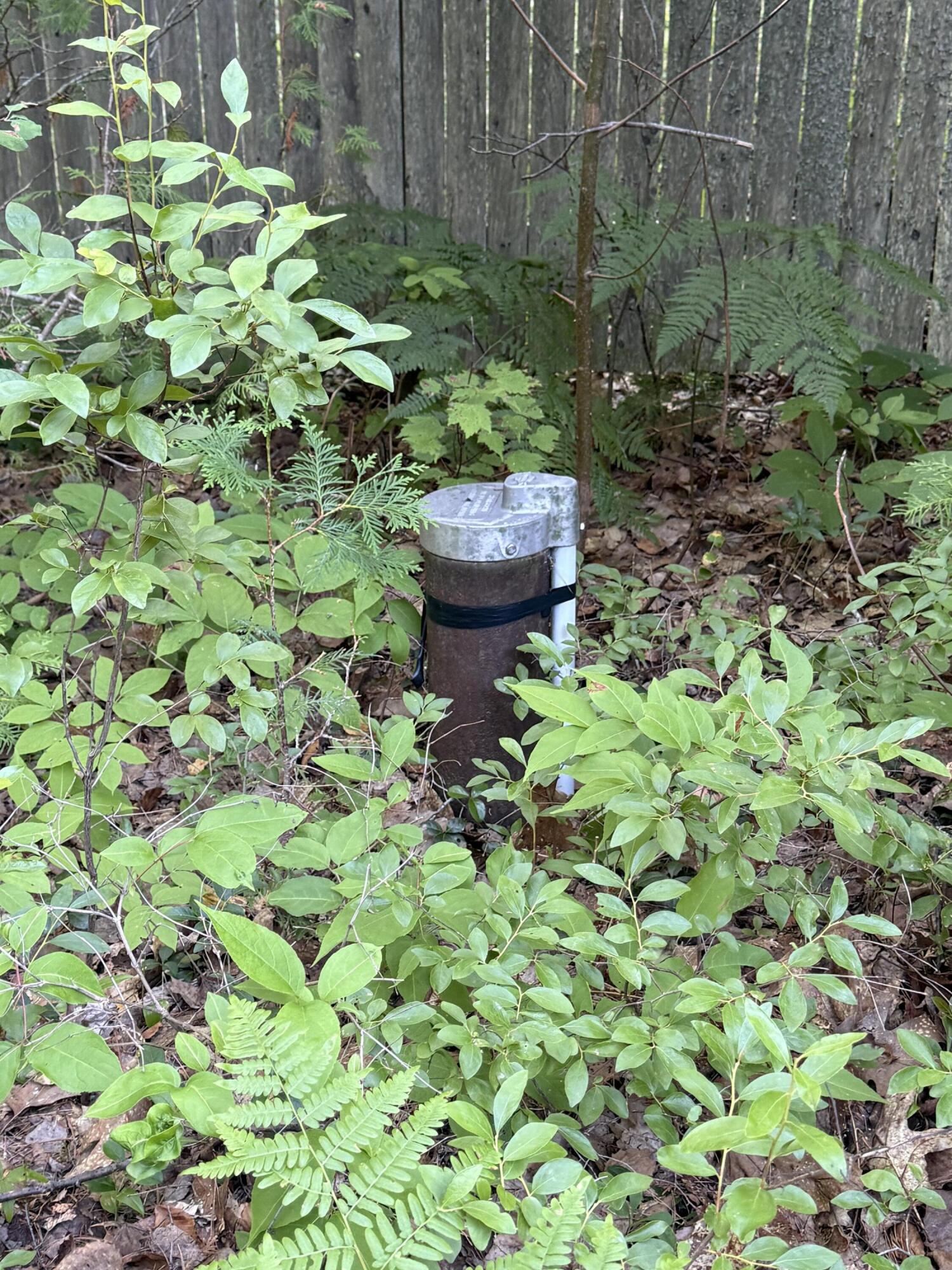 main property photo 44