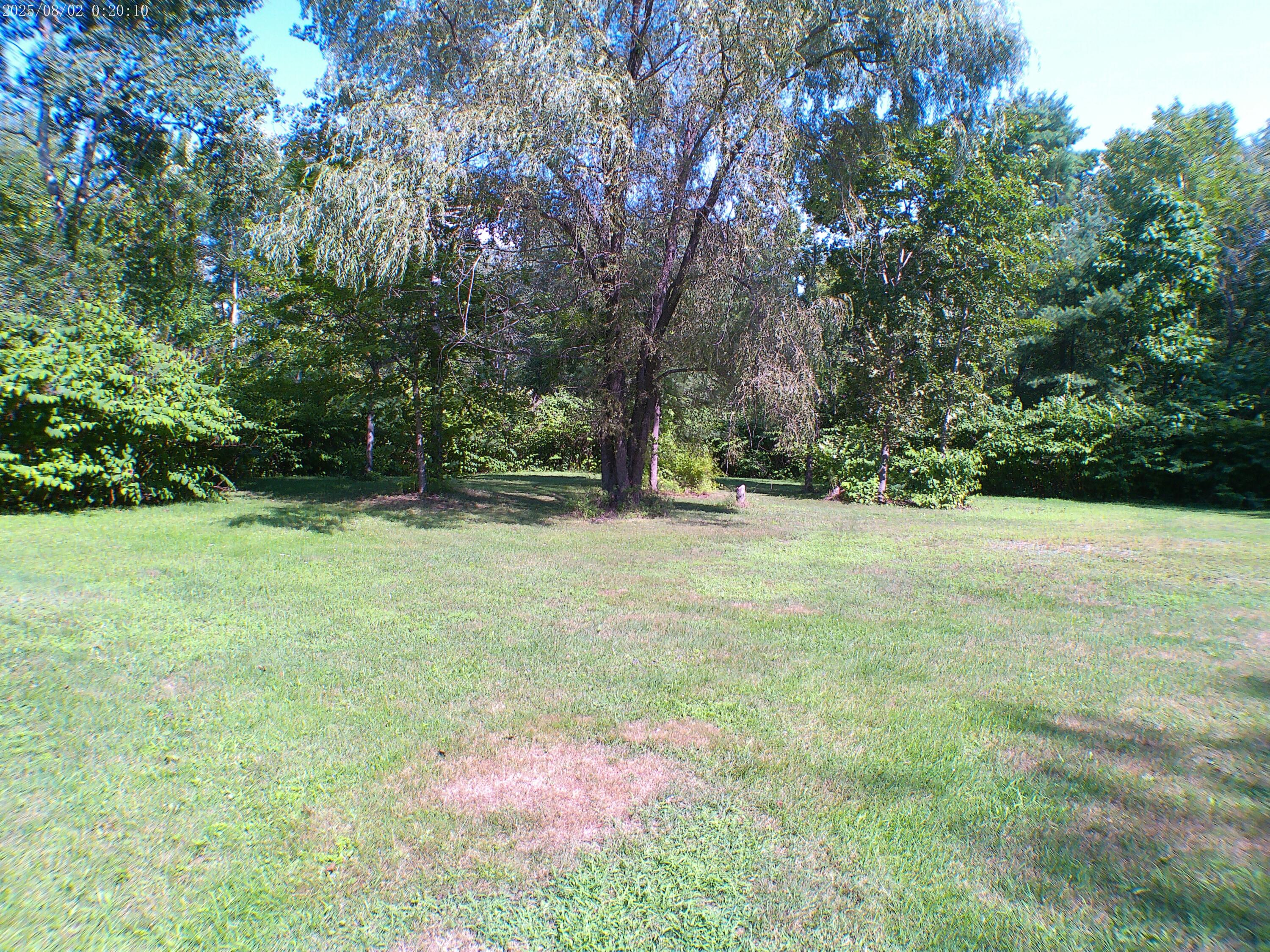 main property photo 61