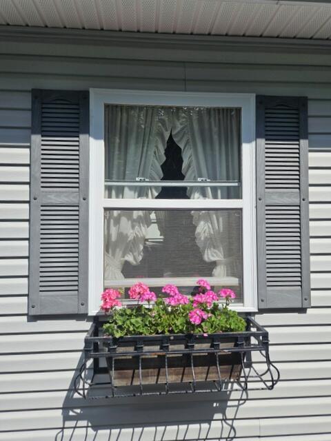 main property photo 58