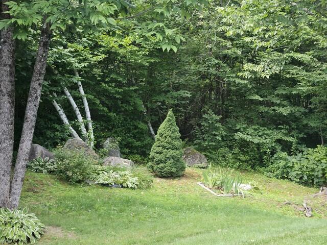 main property photo 68