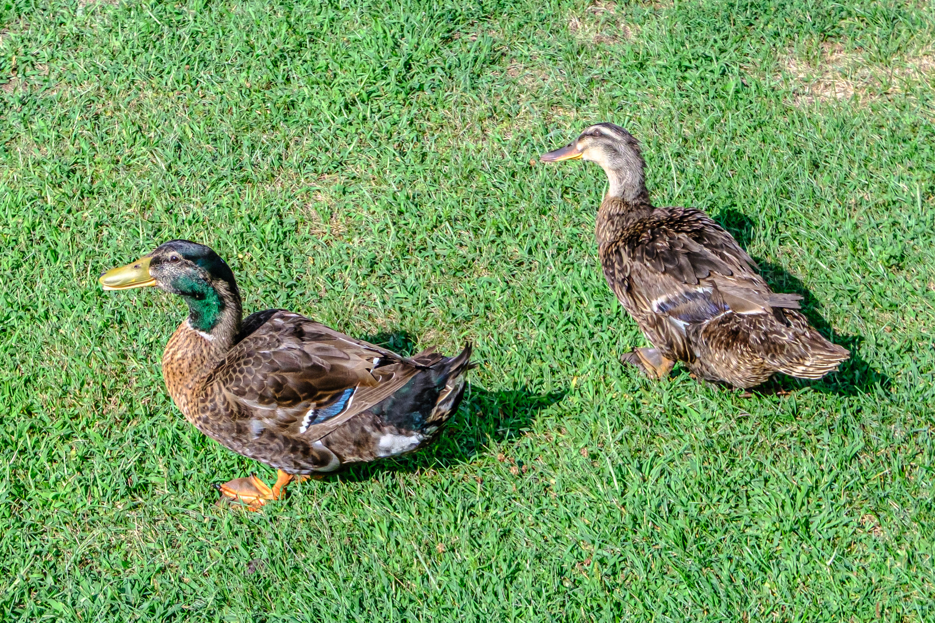 main property photo 59