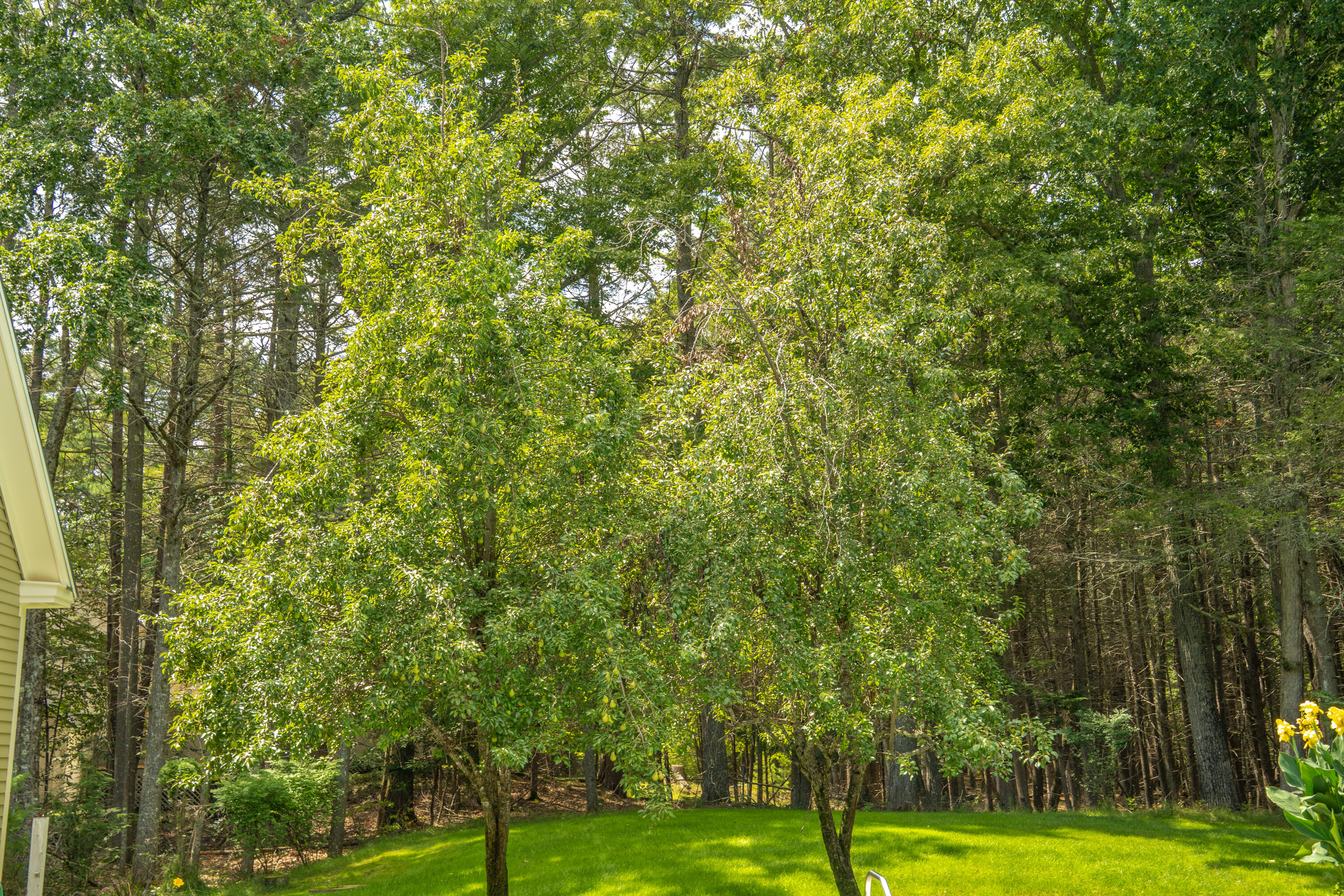 main property photo 67