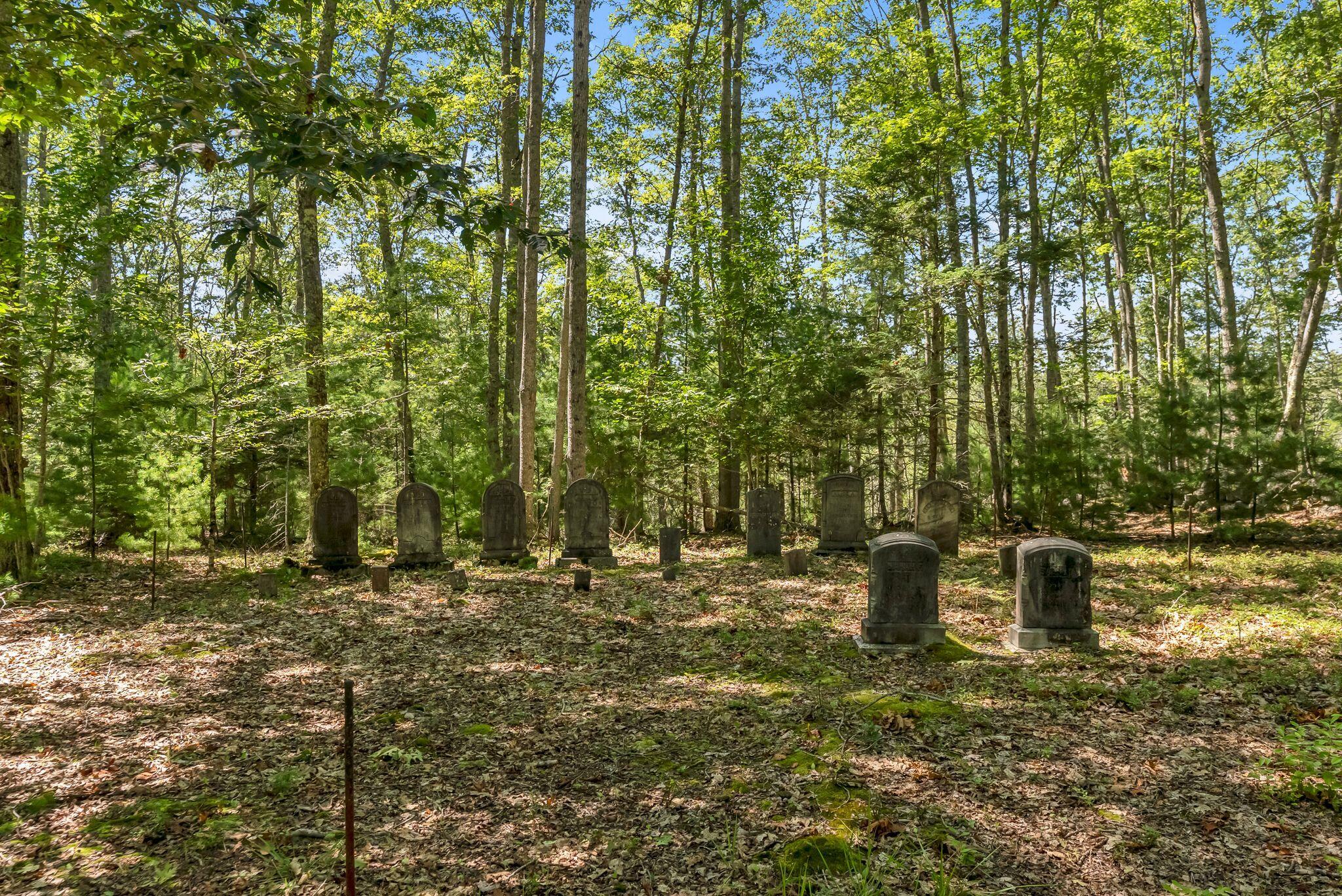 main property photo 65