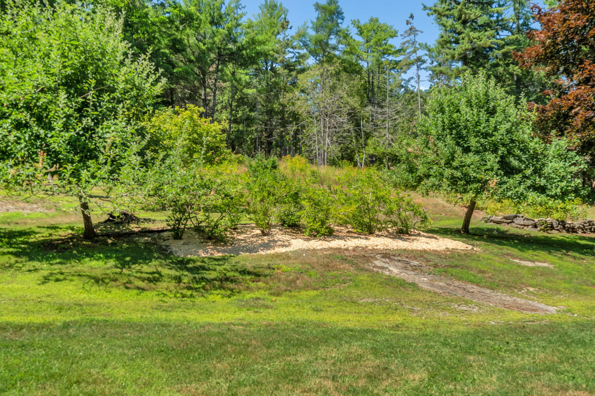 main property photo 66