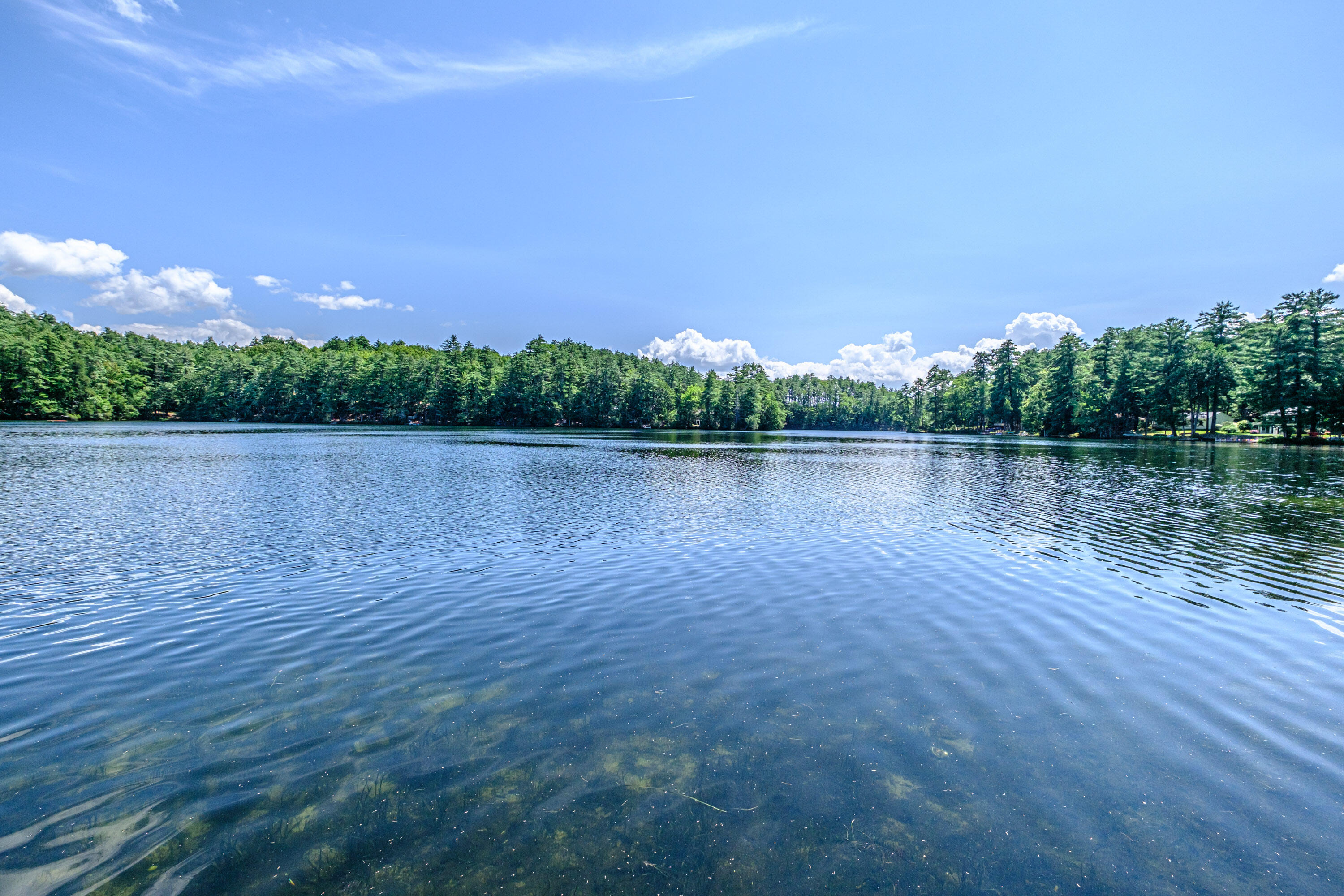 main property photo 74