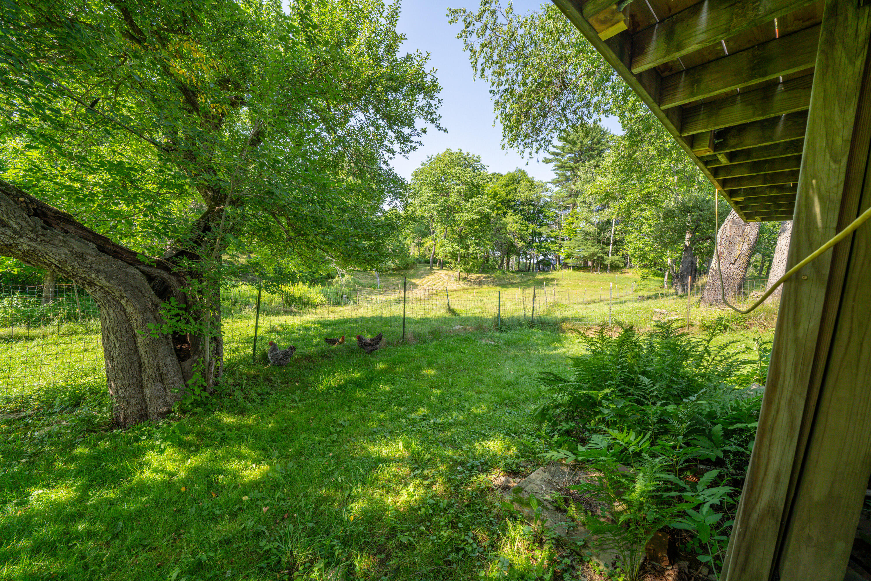 main property photo 40